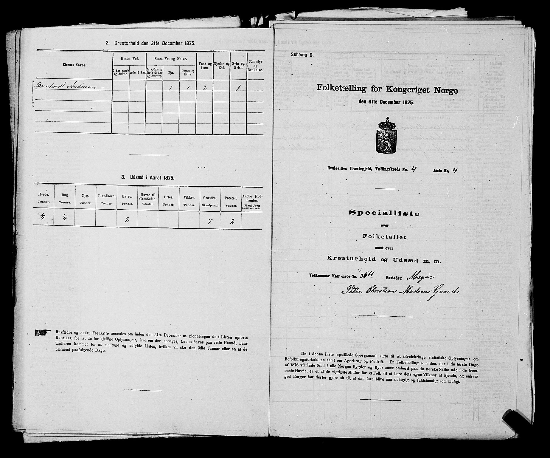 RA, 1875 census for 0111P Hvaler, 1875, p. 578