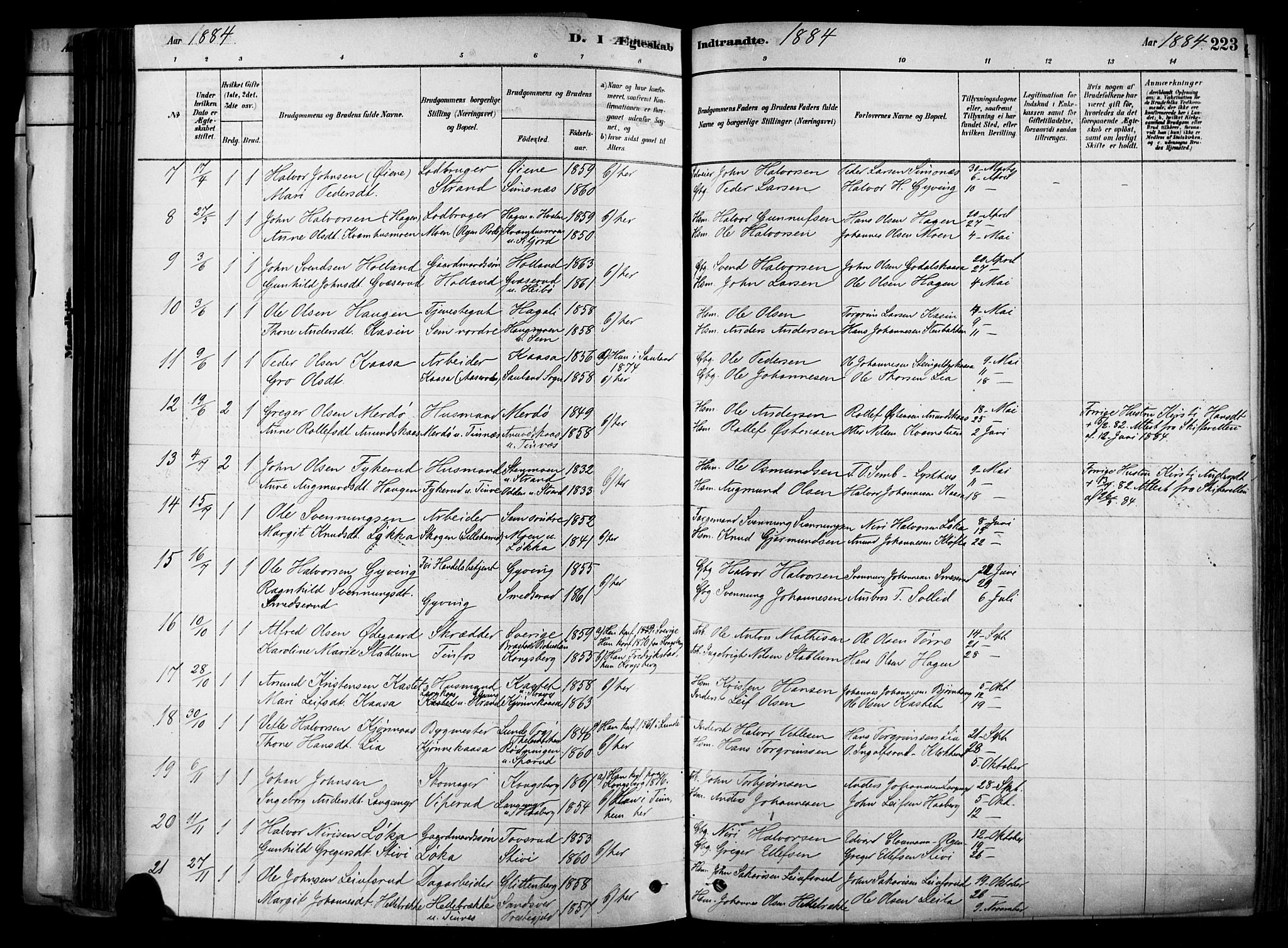 Heddal kirkebøker, SAKO/A-268/F/Fa/L0008: Parish register (official) no. I 8, 1878-1903, p. 223