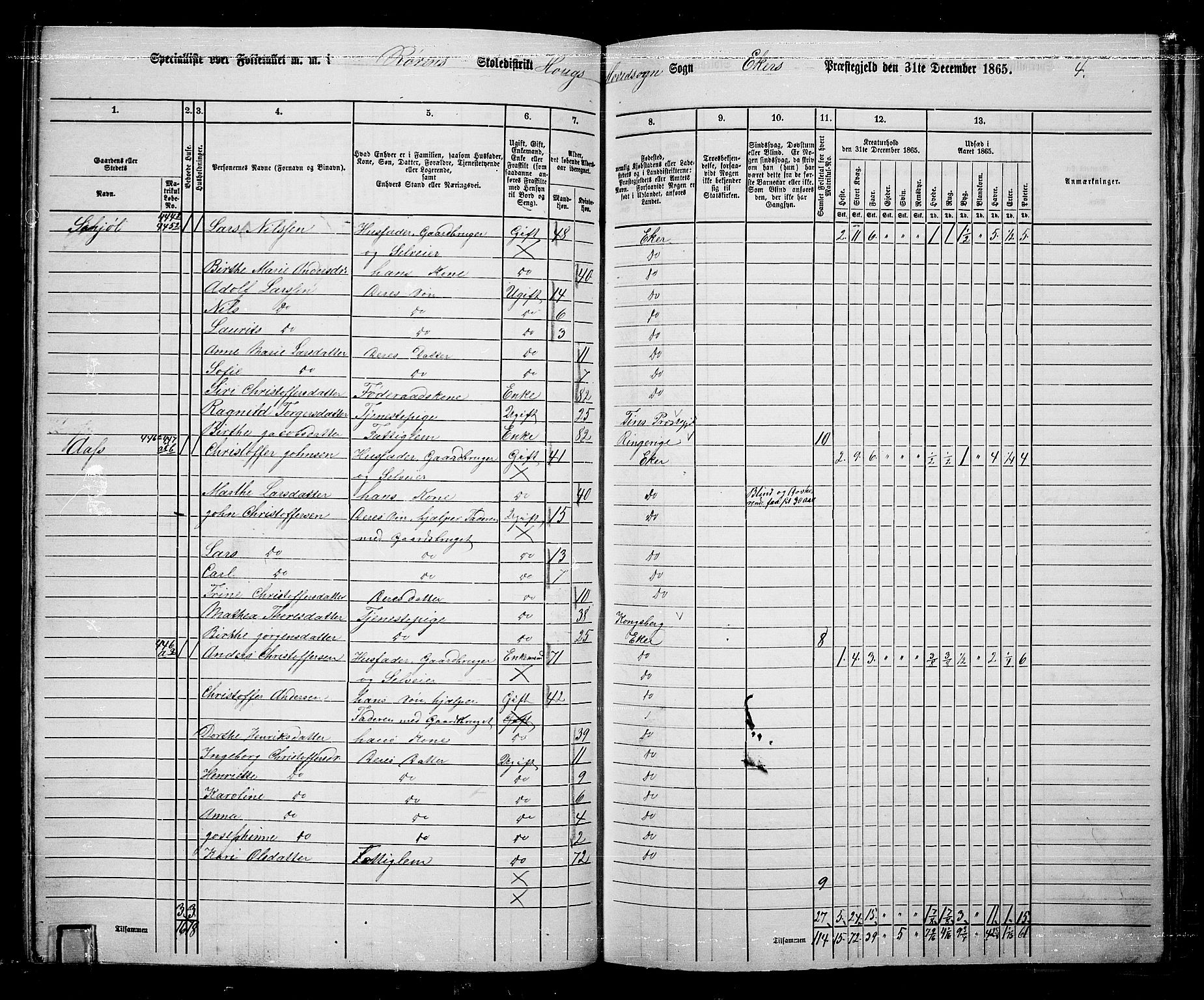 RA, 1865 census for Eiker, 1865, p. 108