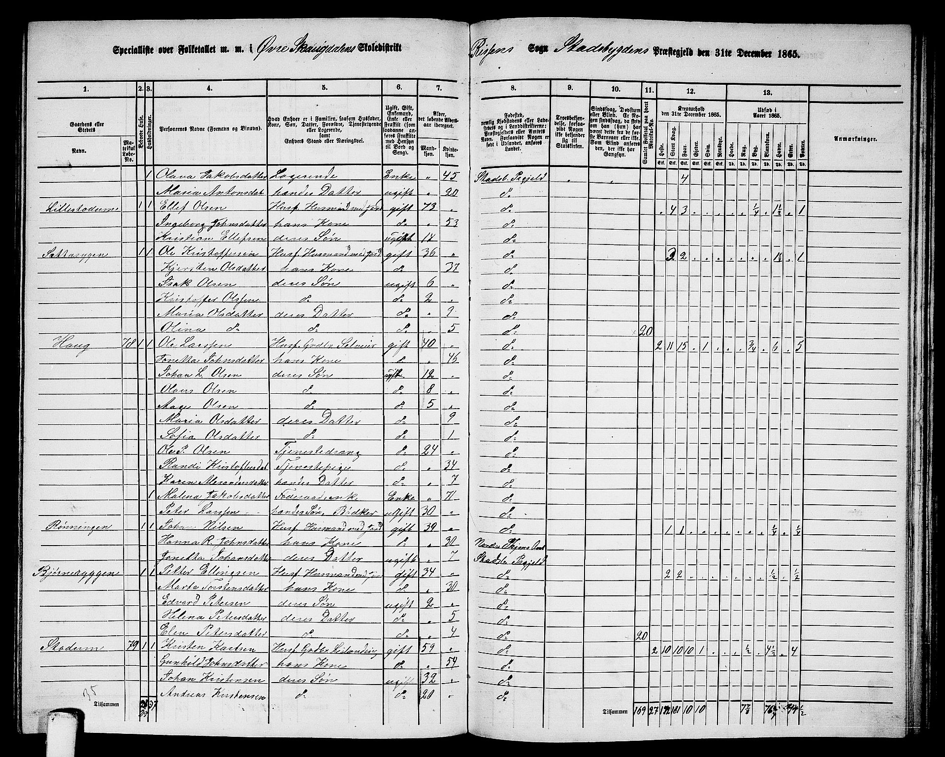 RA, 1865 census for Stadsbygd, 1865, p. 161