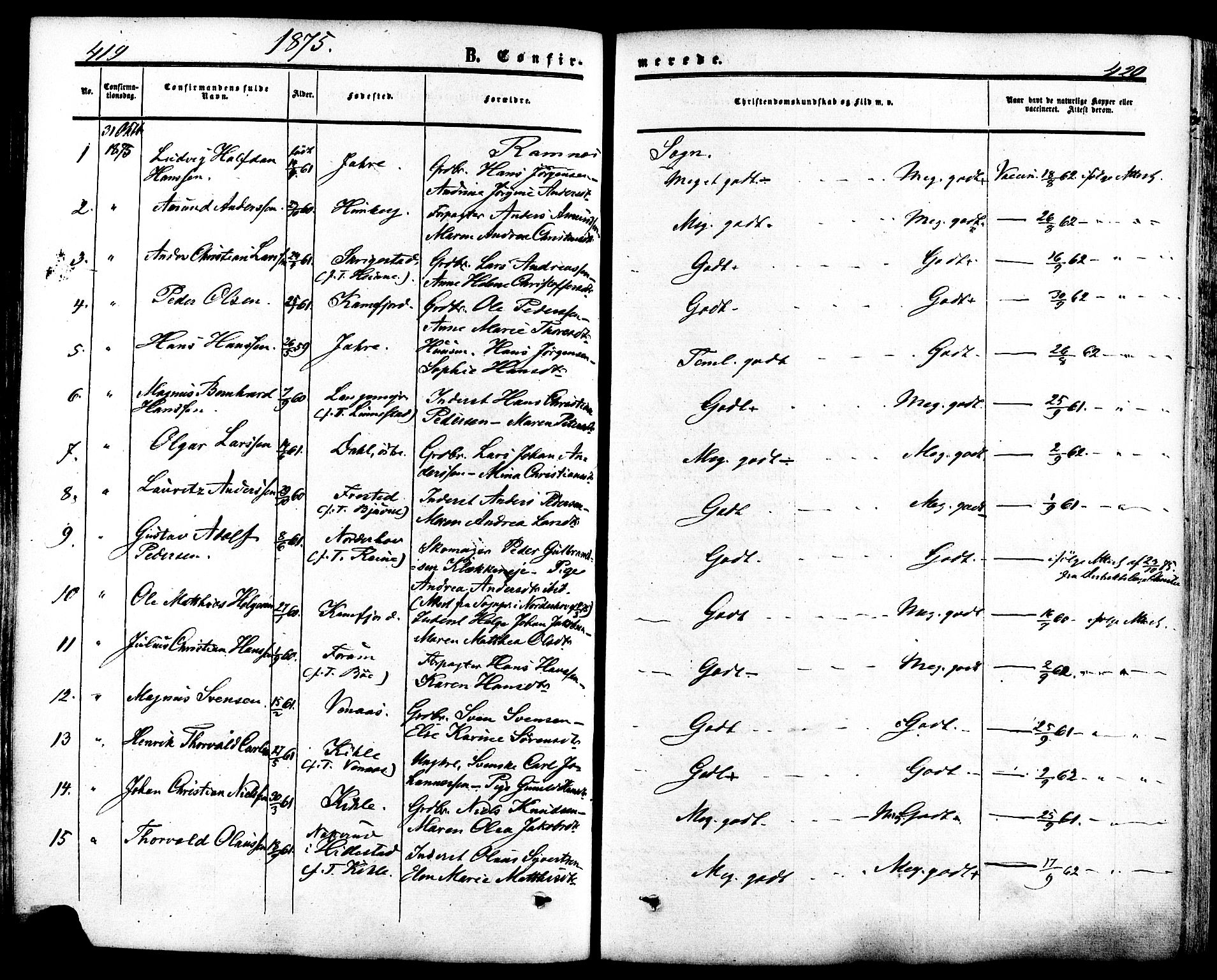 Ramnes kirkebøker, SAKO/A-314/F/Fa/L0006: Parish register (official) no. I 6, 1862-1877, p. 419-420