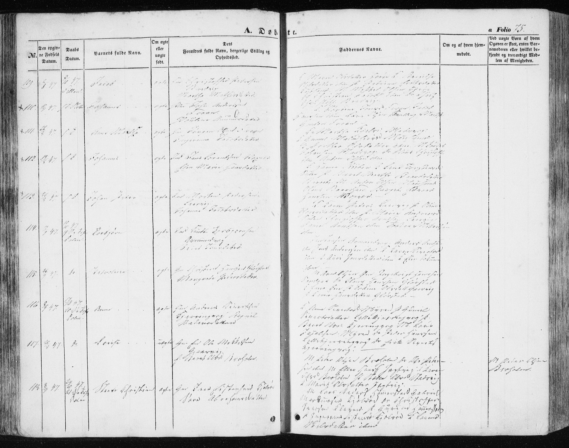 Ministerialprotokoller, klokkerbøker og fødselsregistre - Sør-Trøndelag, AV/SAT-A-1456/634/L0529: Parish register (official) no. 634A05, 1843-1851, p. 75