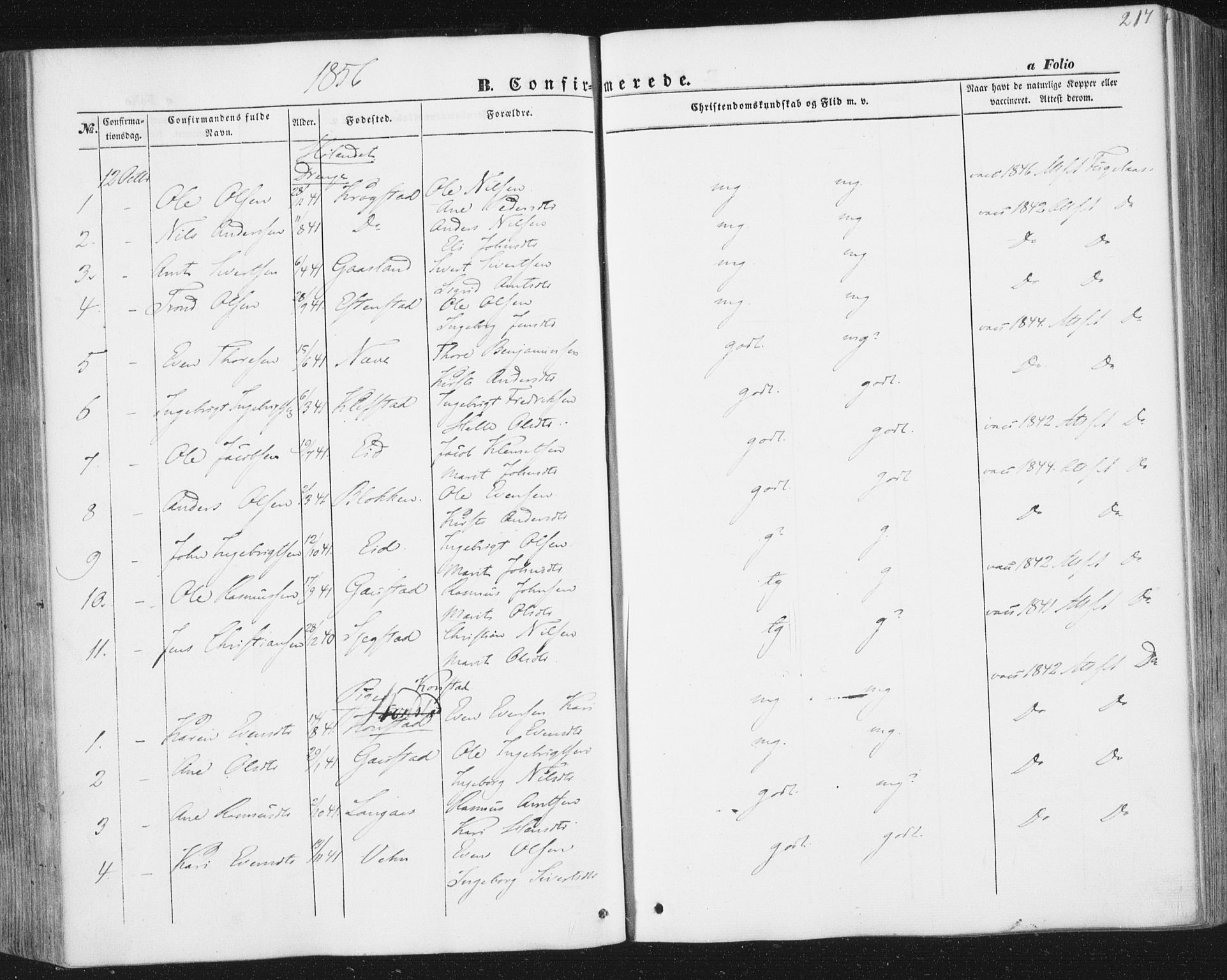 Ministerialprotokoller, klokkerbøker og fødselsregistre - Sør-Trøndelag, AV/SAT-A-1456/691/L1076: Parish register (official) no. 691A08, 1852-1861, p. 217