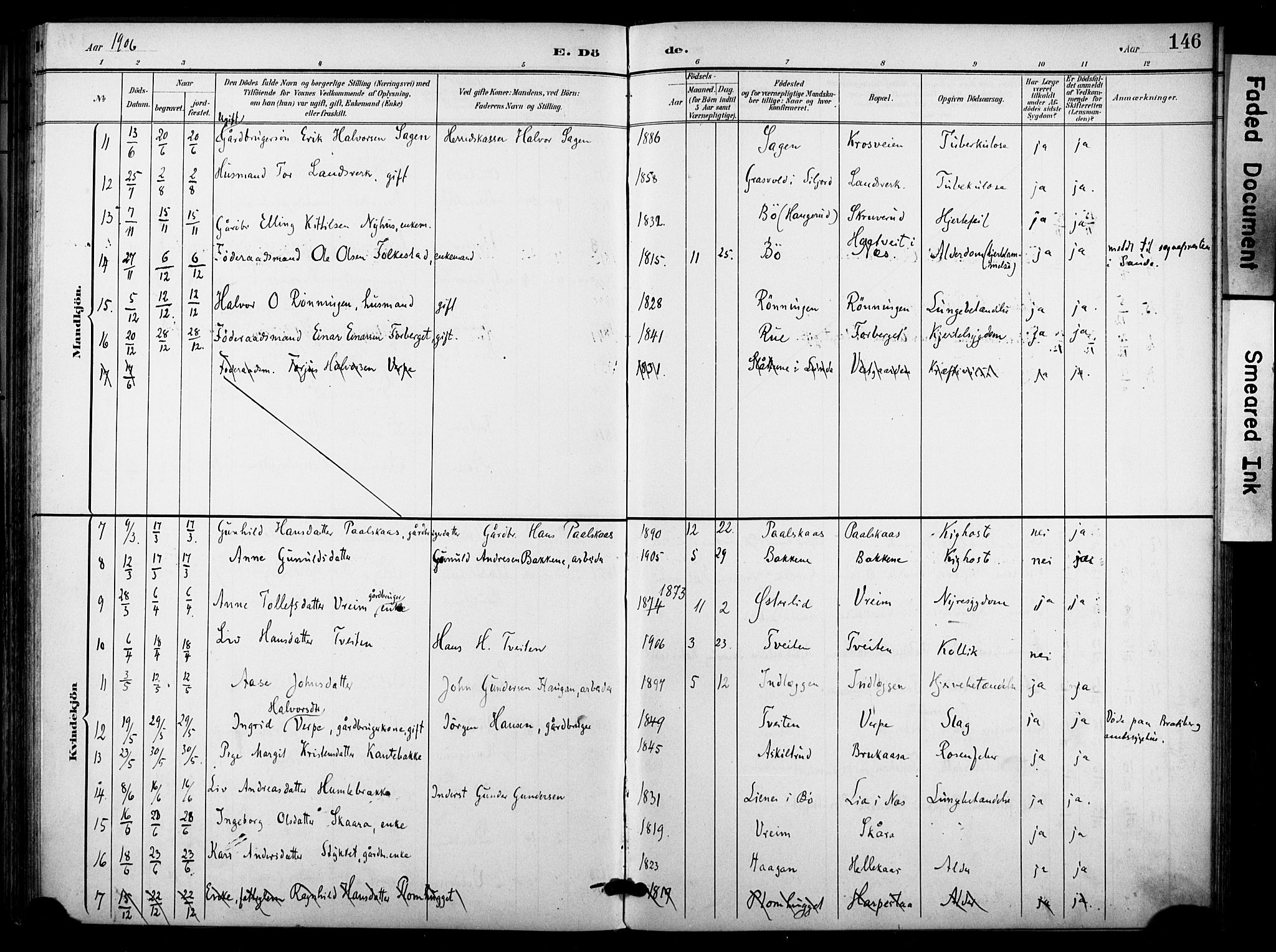 Bø kirkebøker, SAKO/A-257/F/Fa/L0012: Parish register (official) no. 12, 1900-1908, p. 146
