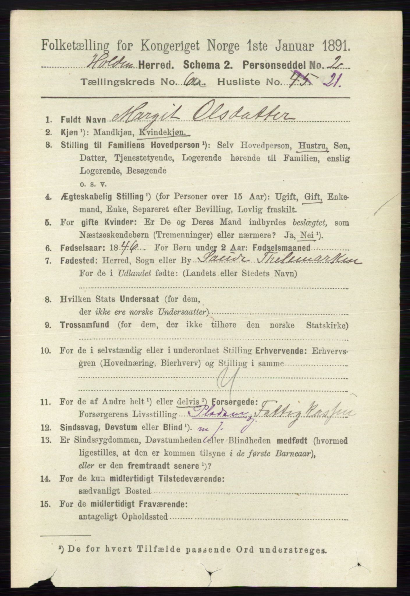 RA, 1891 census for 0819 Holla, 1891, p. 2982