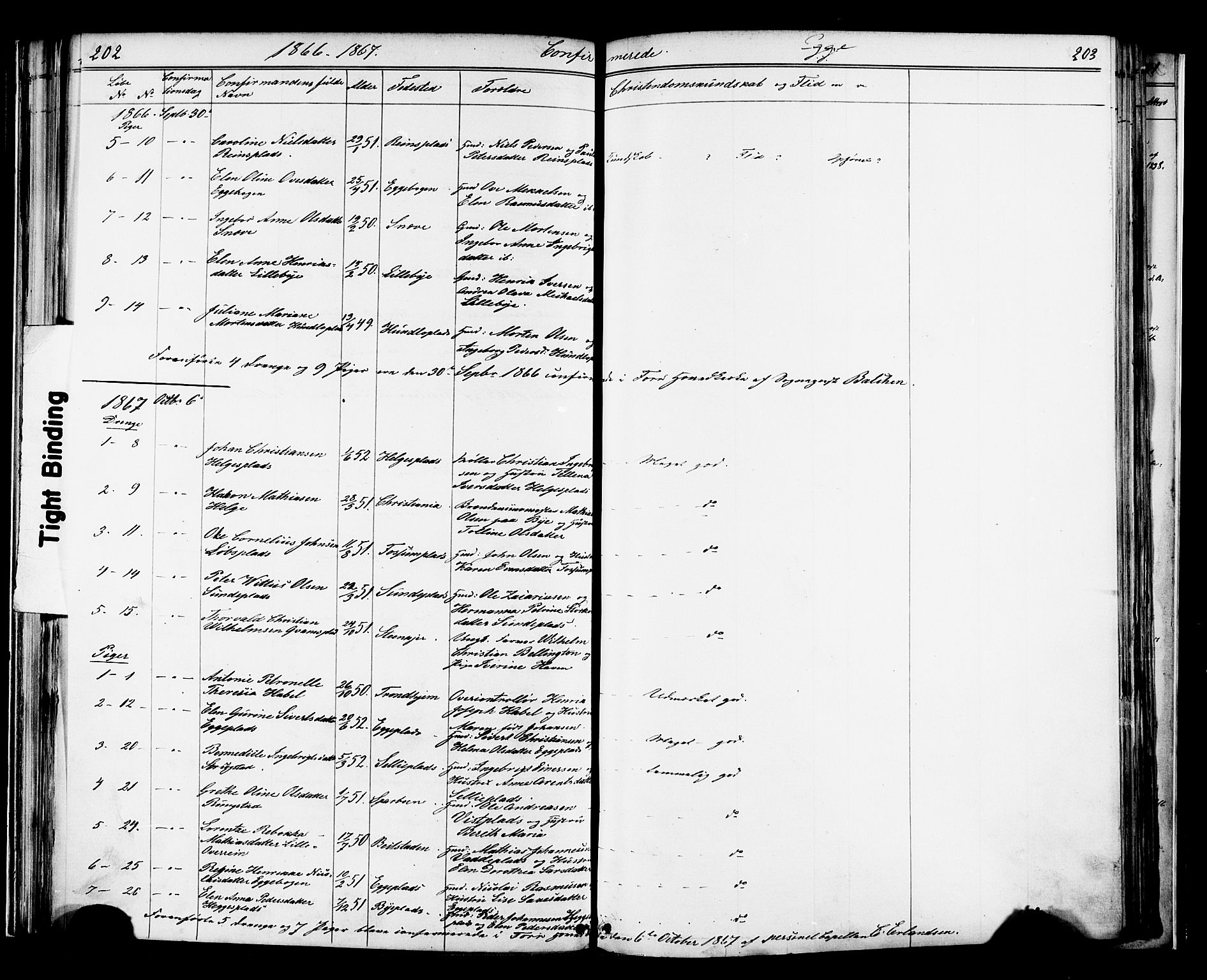 Ministerialprotokoller, klokkerbøker og fødselsregistre - Nord-Trøndelag, SAT/A-1458/739/L0367: Parish register (official) no. 739A01 /3, 1838-1868, p. 202-203
