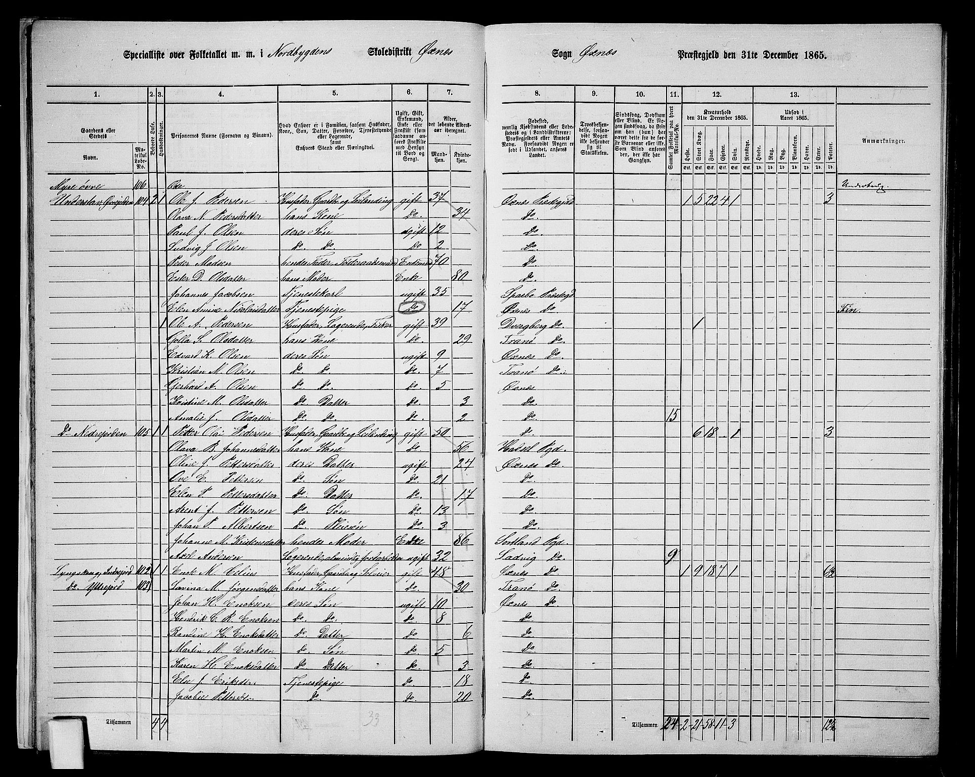 RA, 1865 census for Øksnes, 1865, p. 17