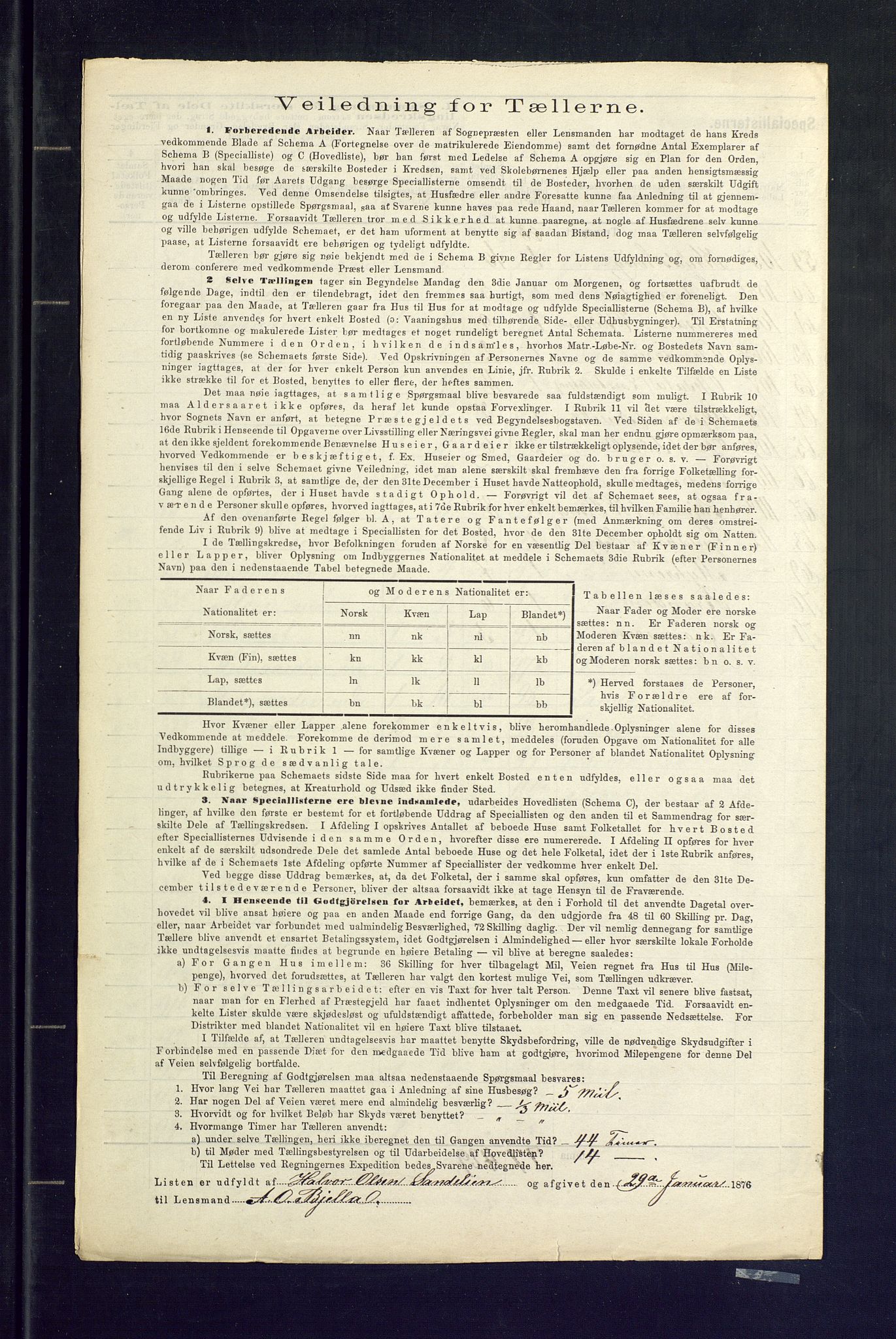 SAKO, 1875 census for 0619P Ål, 1875, p. 12