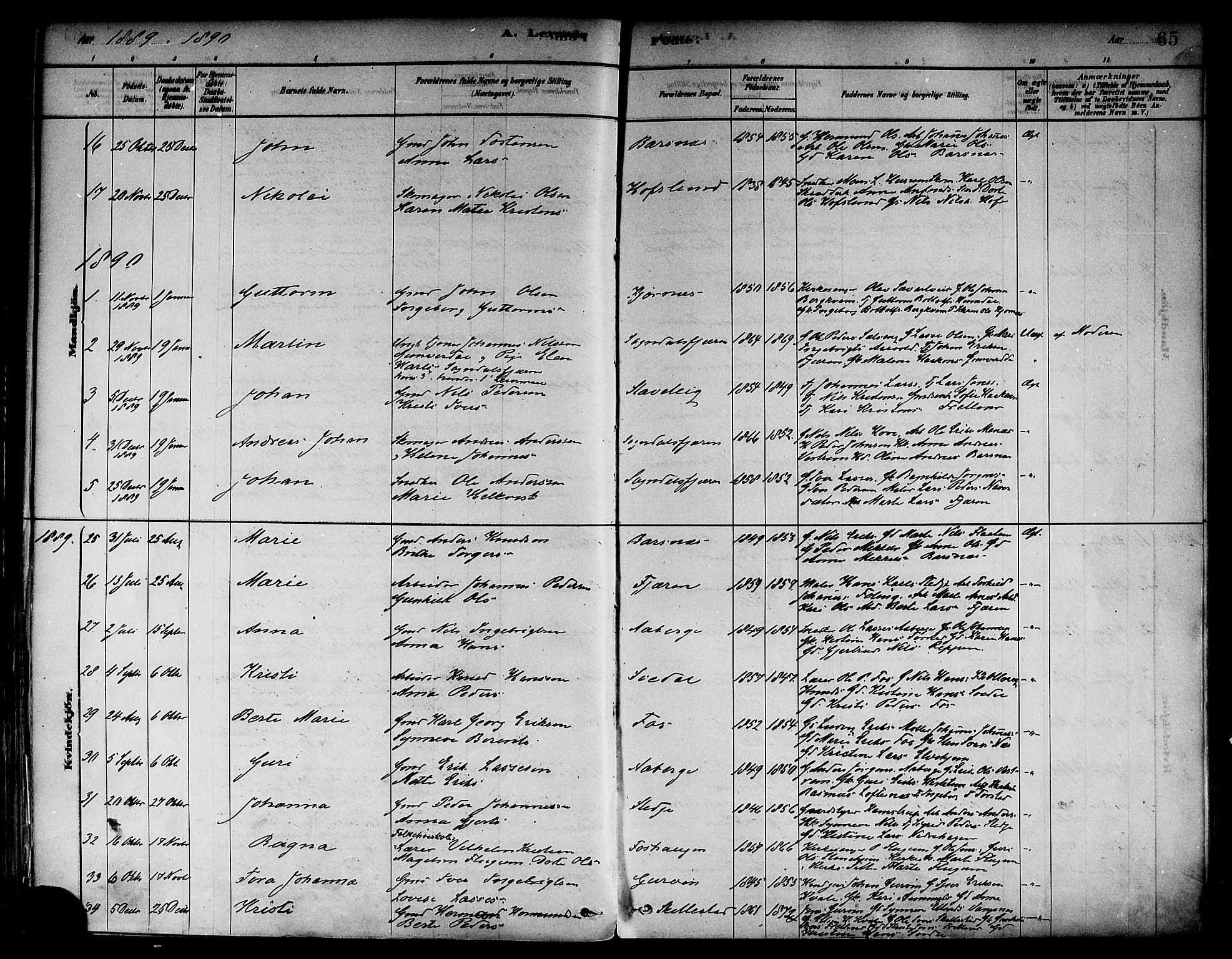 Sogndal sokneprestembete, AV/SAB-A-81301/H/Haa/Haab/L0001: Parish register (official) no. B 1, 1878-1899, p. 65