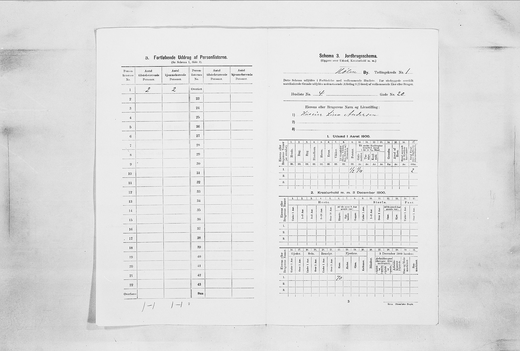 SAO, 1900 census for Hølen, 1900