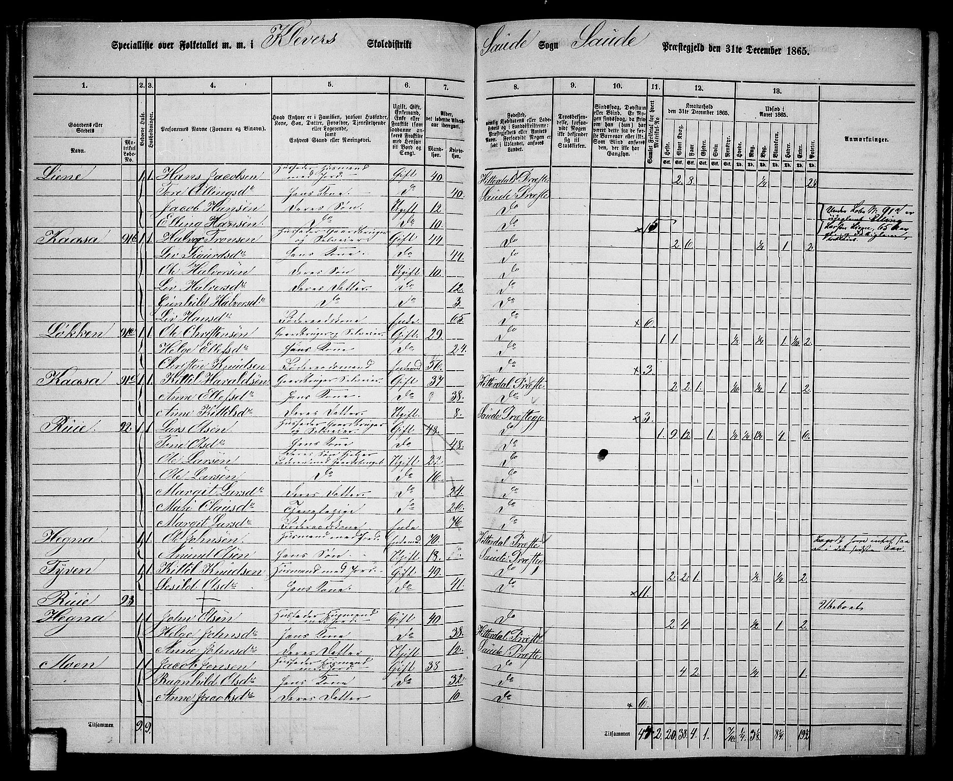 RA, 1865 census for Sauherad, 1865, p. 81