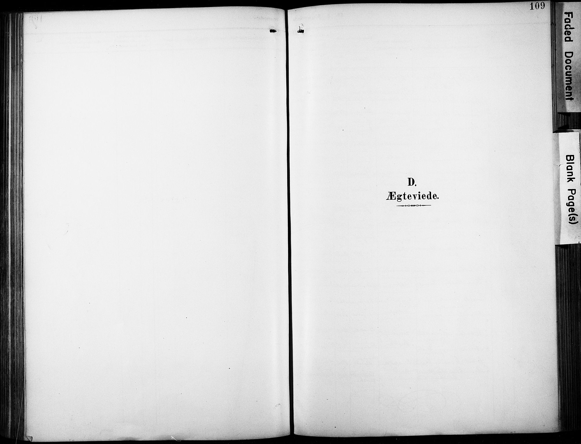 Fiskum kirkebøker, SAKO/A-15/F/Fa/L0003: Parish register (official) no. 3, 1890-1905, p. 109