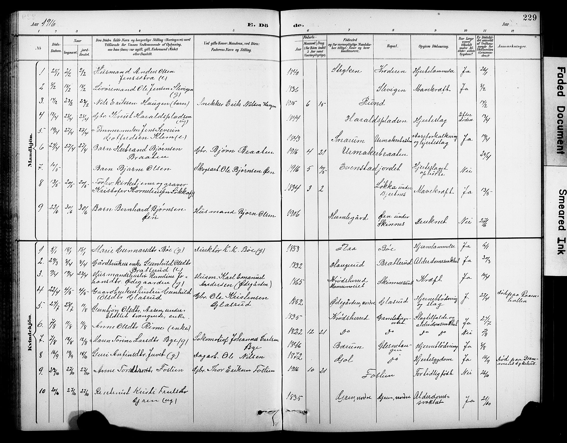 Krødsherad kirkebøker, AV/SAKO-A-19/G/Ga/L0002: Parish register (copy) no. 2, 1894-1918, p. 229
