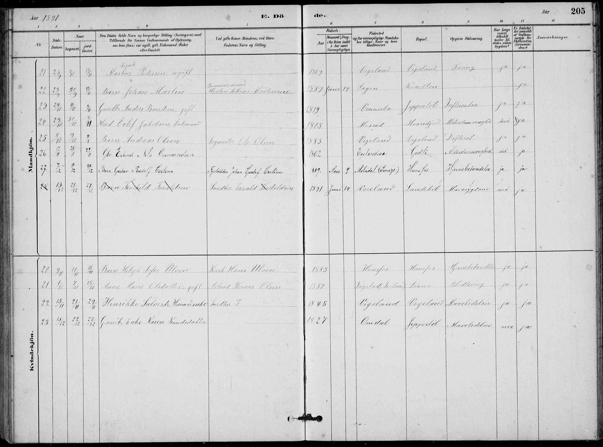 Vennesla sokneprestkontor, AV/SAK-1111-0045/Fb/Fbb/L0003: Parish register (copy) no. B 3, 1879-1893, p. 205