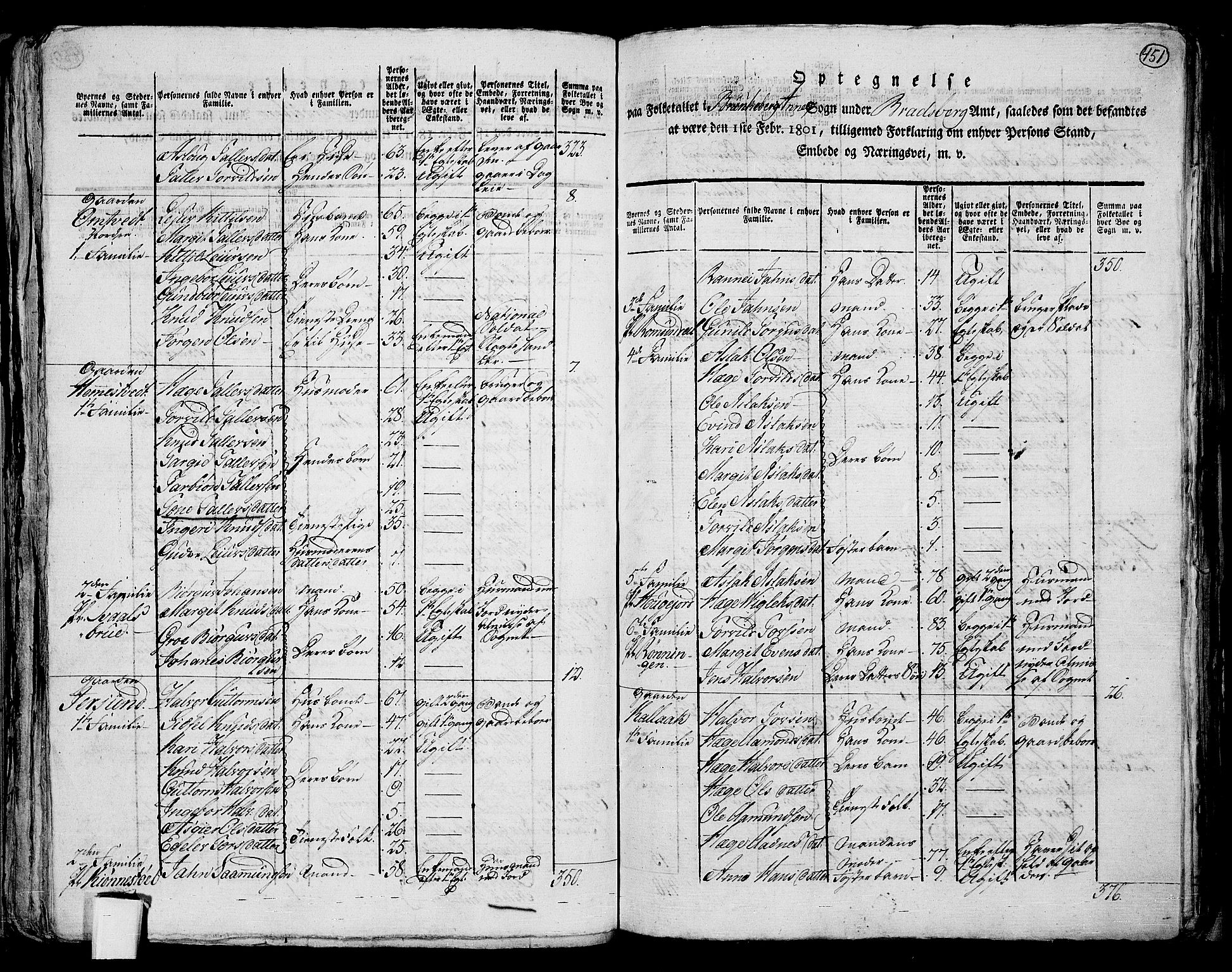 RA, 1801 census for 0829P Kviteseid, 1801, p. 450b-451a