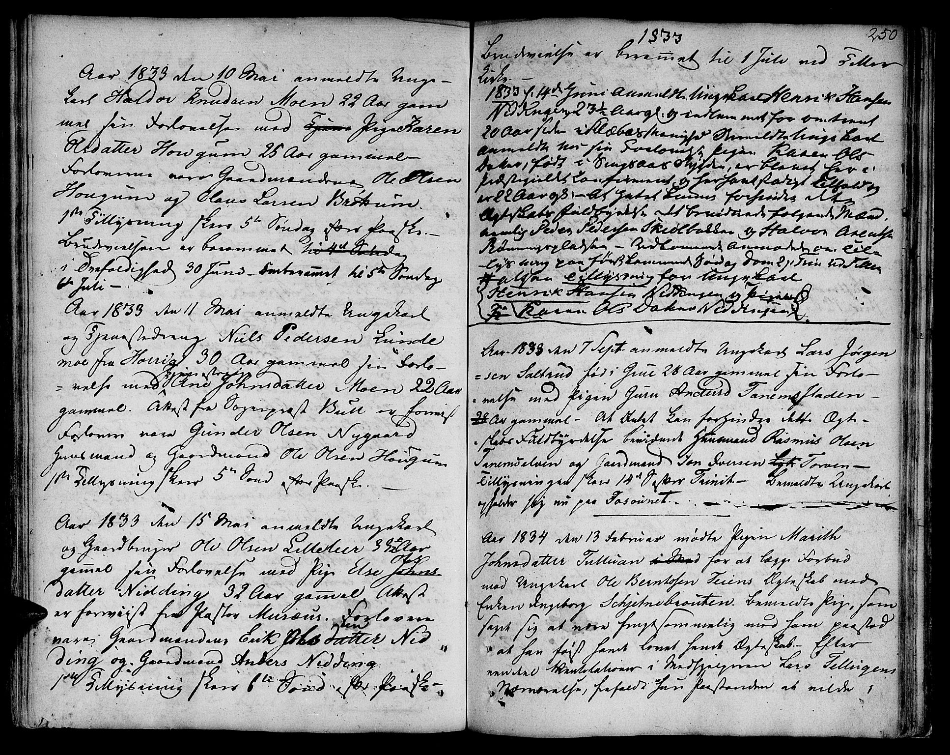 Ministerialprotokoller, klokkerbøker og fødselsregistre - Sør-Trøndelag, SAT/A-1456/618/L0438: Parish register (official) no. 618A03, 1783-1815, p. 250