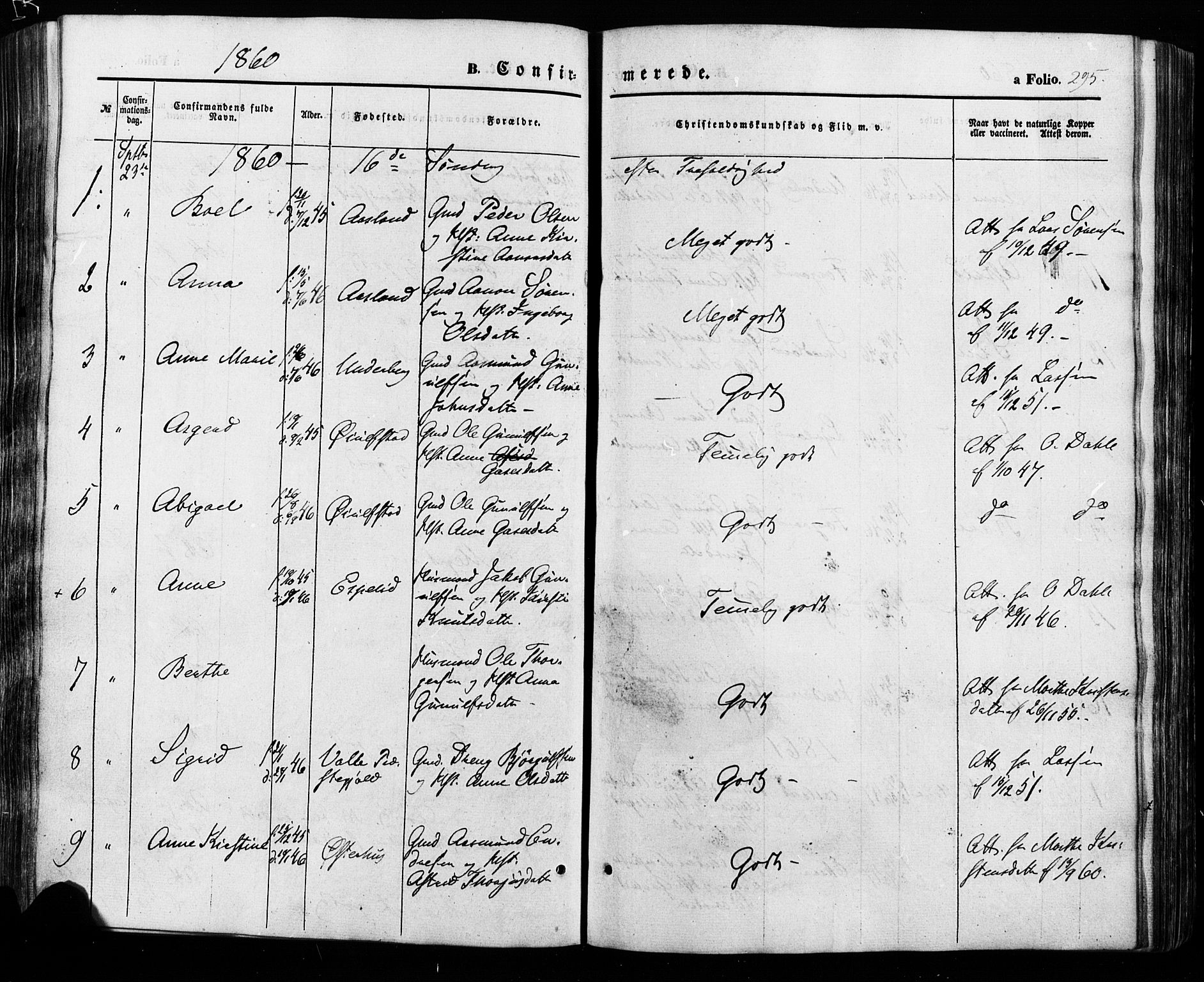 Åseral sokneprestkontor, SAK/1111-0051/F/Fa/L0002: Parish register (official) no. A 2, 1854-1884, p. 295