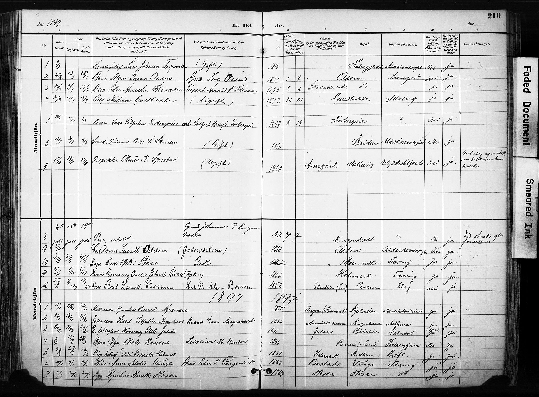 Skjåk prestekontor, AV/SAH-PREST-072/H/Ha/Hab/L0003: Parish register (copy) no. 3, 1893-1932, p. 210