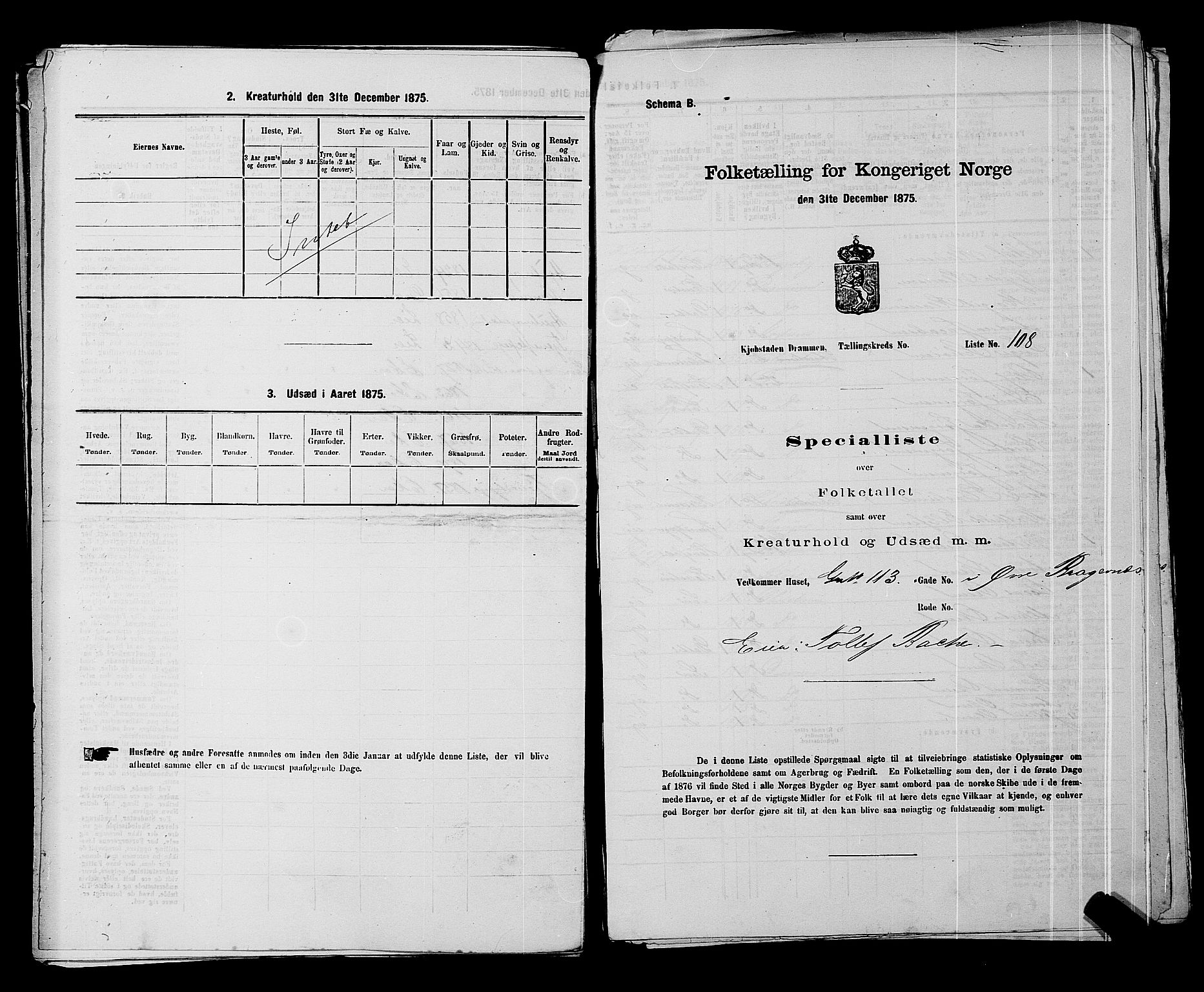 SAKO, 1875 census for 0602 Drammen, 1875, p. 428