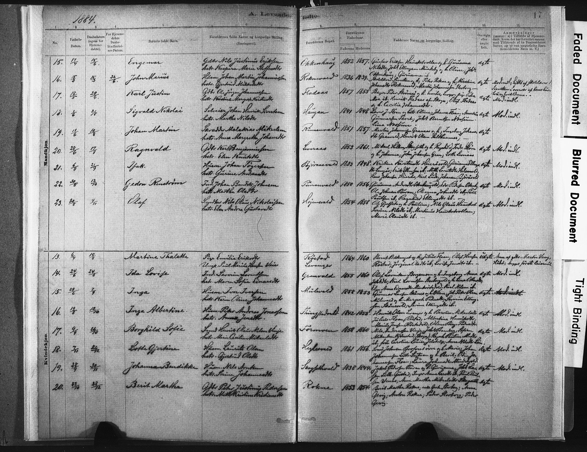 Ministerialprotokoller, klokkerbøker og fødselsregistre - Nord-Trøndelag, SAT/A-1458/721/L0207: Parish register (official) no. 721A02, 1880-1911, p. 17