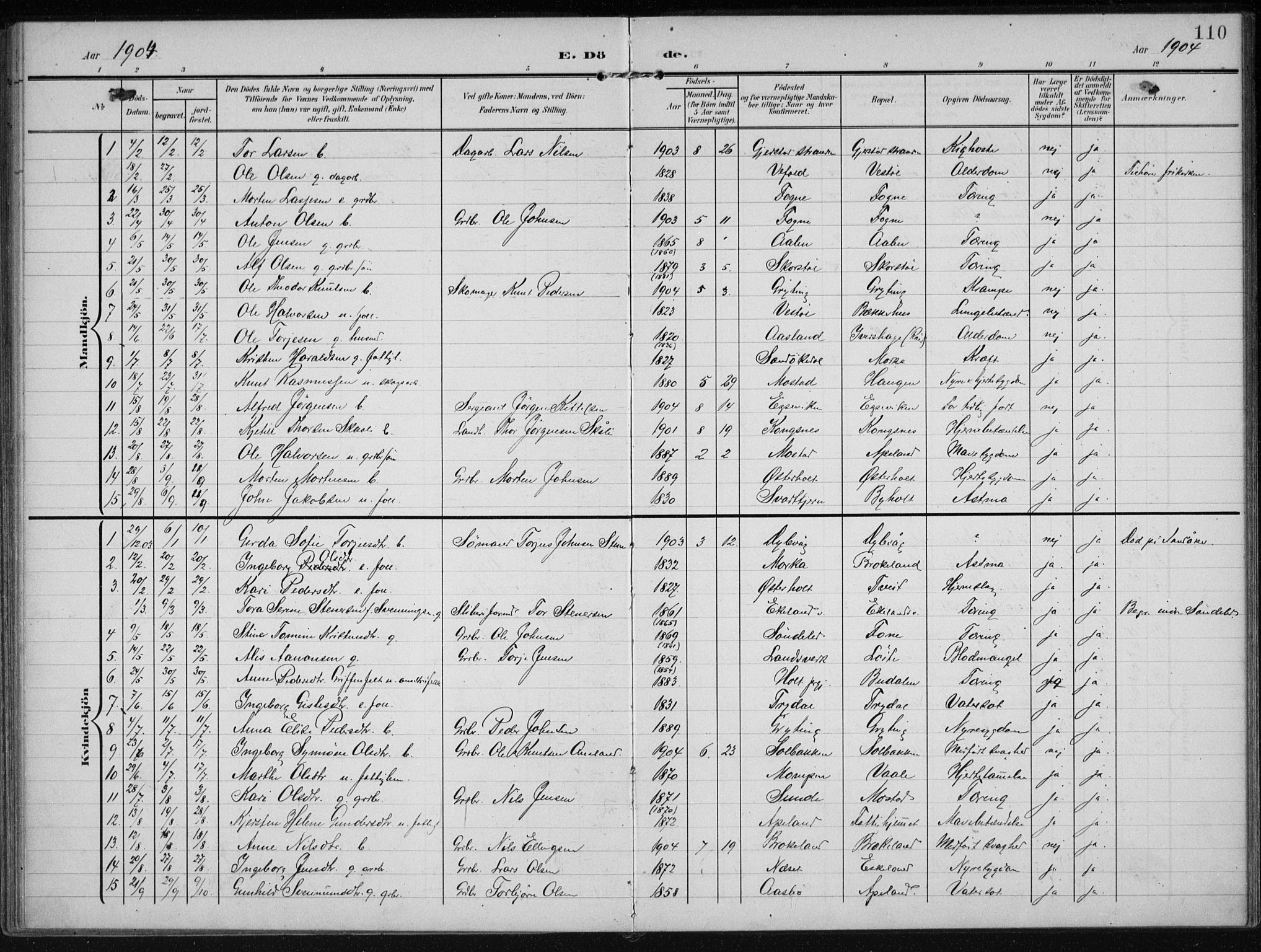 Gjerstad sokneprestkontor, SAK/1111-0014/F/Fa/Faa/L0011: Parish register (official) no. A 11, 1903-1914, p. 110