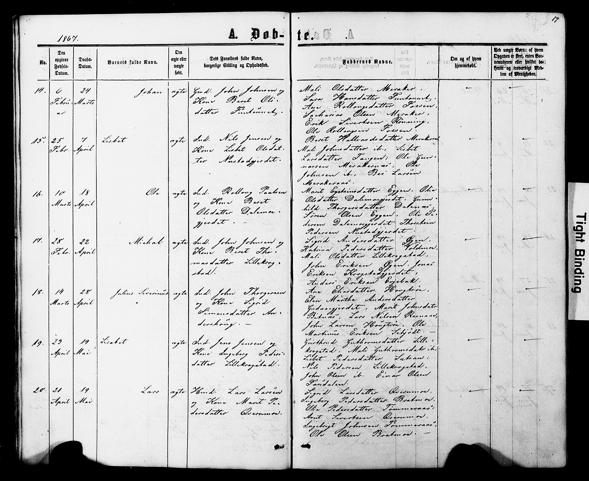 Ministerialprotokoller, klokkerbøker og fødselsregistre - Nord-Trøndelag, SAT/A-1458/706/L0049: Parish register (copy) no. 706C01, 1864-1895, p. 17