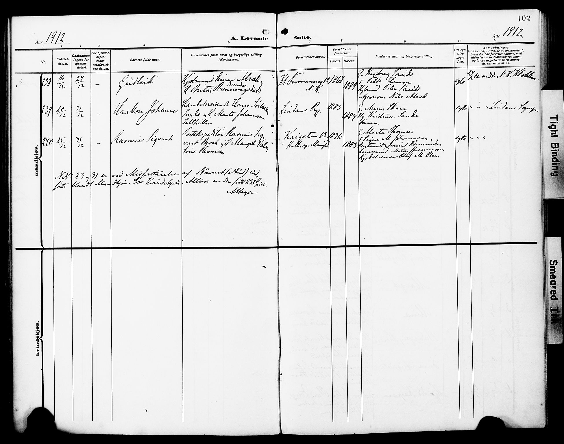 Fødselsstiftelsens sokneprestembete*, SAB/-: Parish register (official) no. A 4, 1910-1918, p. 102