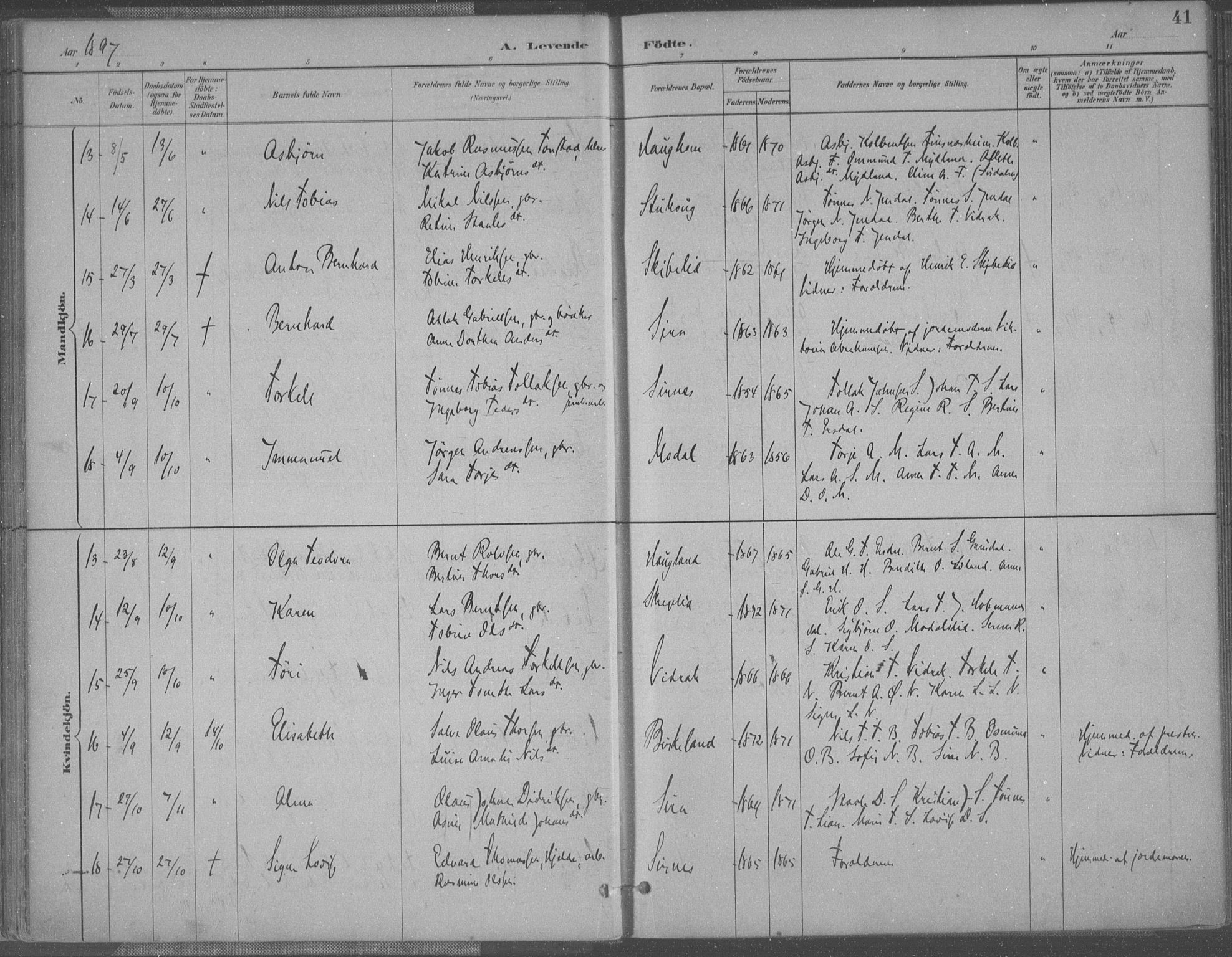 Bakke sokneprestkontor, AV/SAK-1111-0002/F/Fa/Faa/L0008: Parish register (official) no. A 8, 1887-1911, p. 41