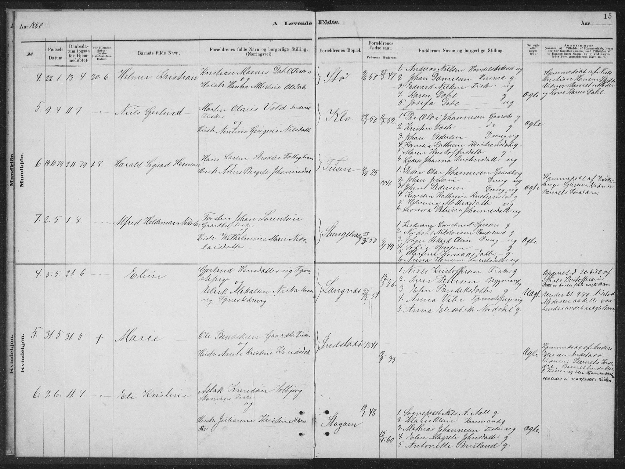 Ministerialprotokoller, klokkerbøker og fødselsregistre - Nordland, AV/SAT-A-1459/894/L1359: Parish register (copy) no. 894C02, 1877-1884, p. 15