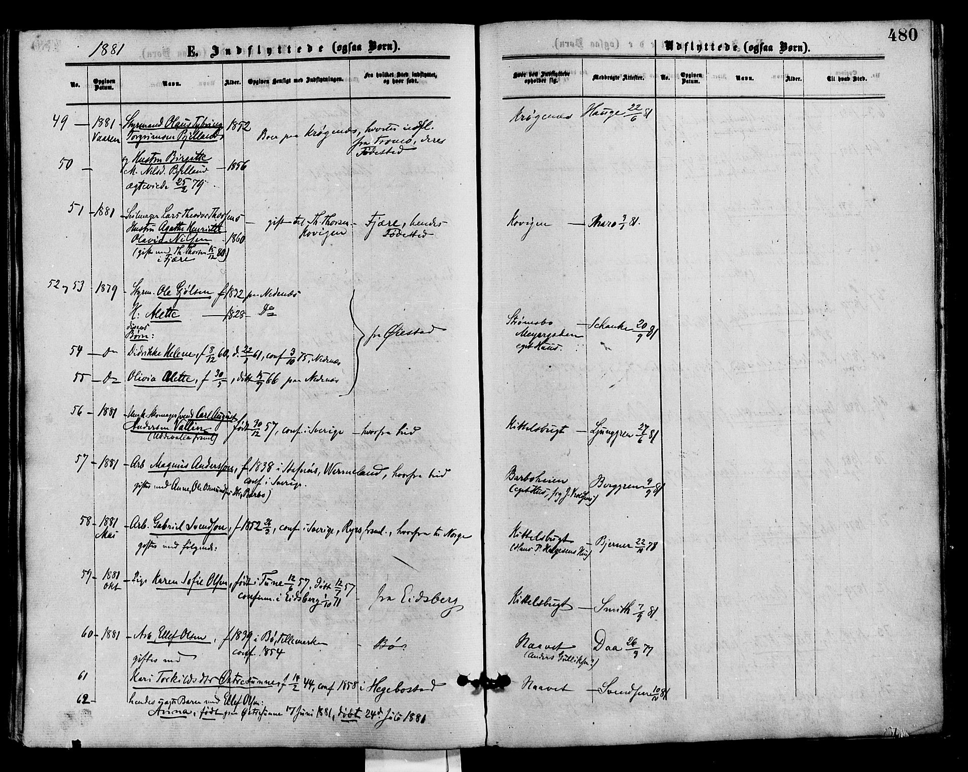 Barbu sokneprestkontor, AV/SAK-1111-0003/F/Fa/L0001: Parish register (official) no. A 1 /1, 1878-1883, p. 480