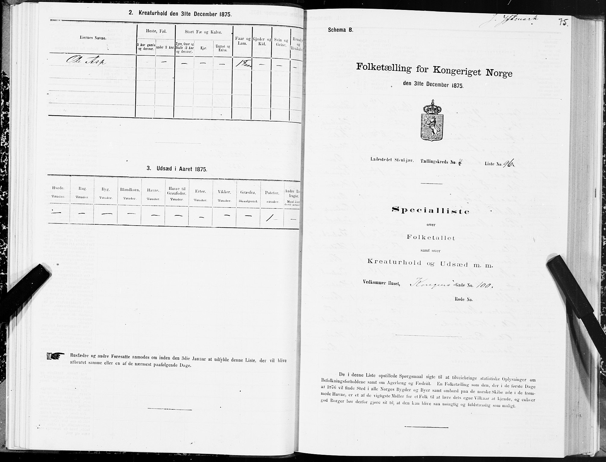 SAT, 1875 census for 1702B Steinkjer/Steinkjer, 1875, p. 75