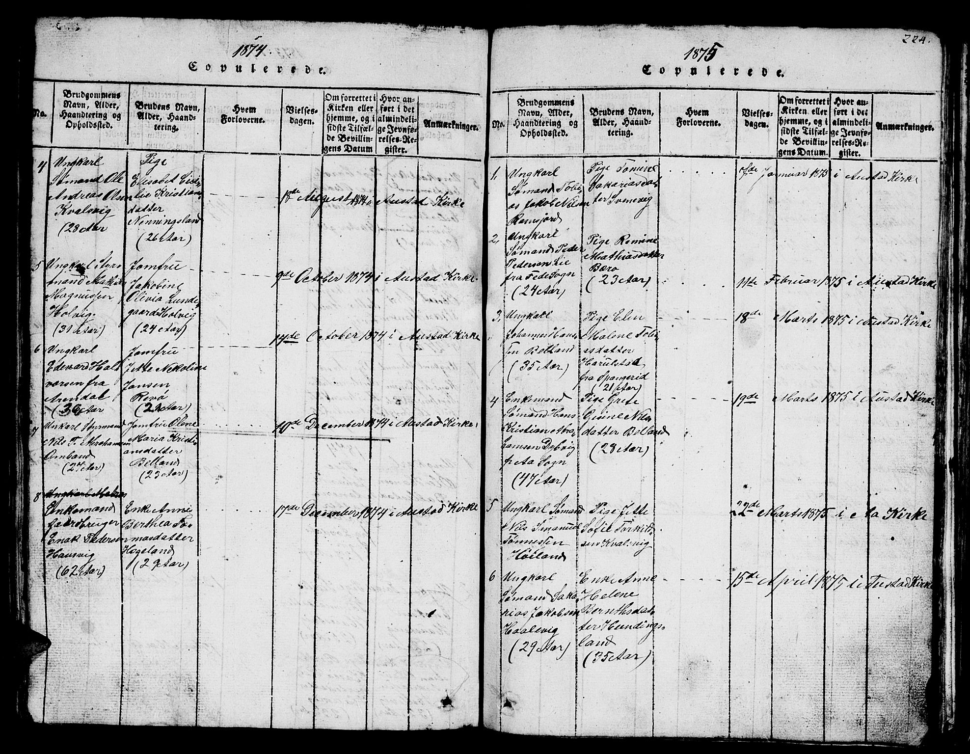 Lyngdal sokneprestkontor, SAK/1111-0029/F/Fb/Fba/L0001: Parish register (copy) no. B 1, 1816-1876, p. 223