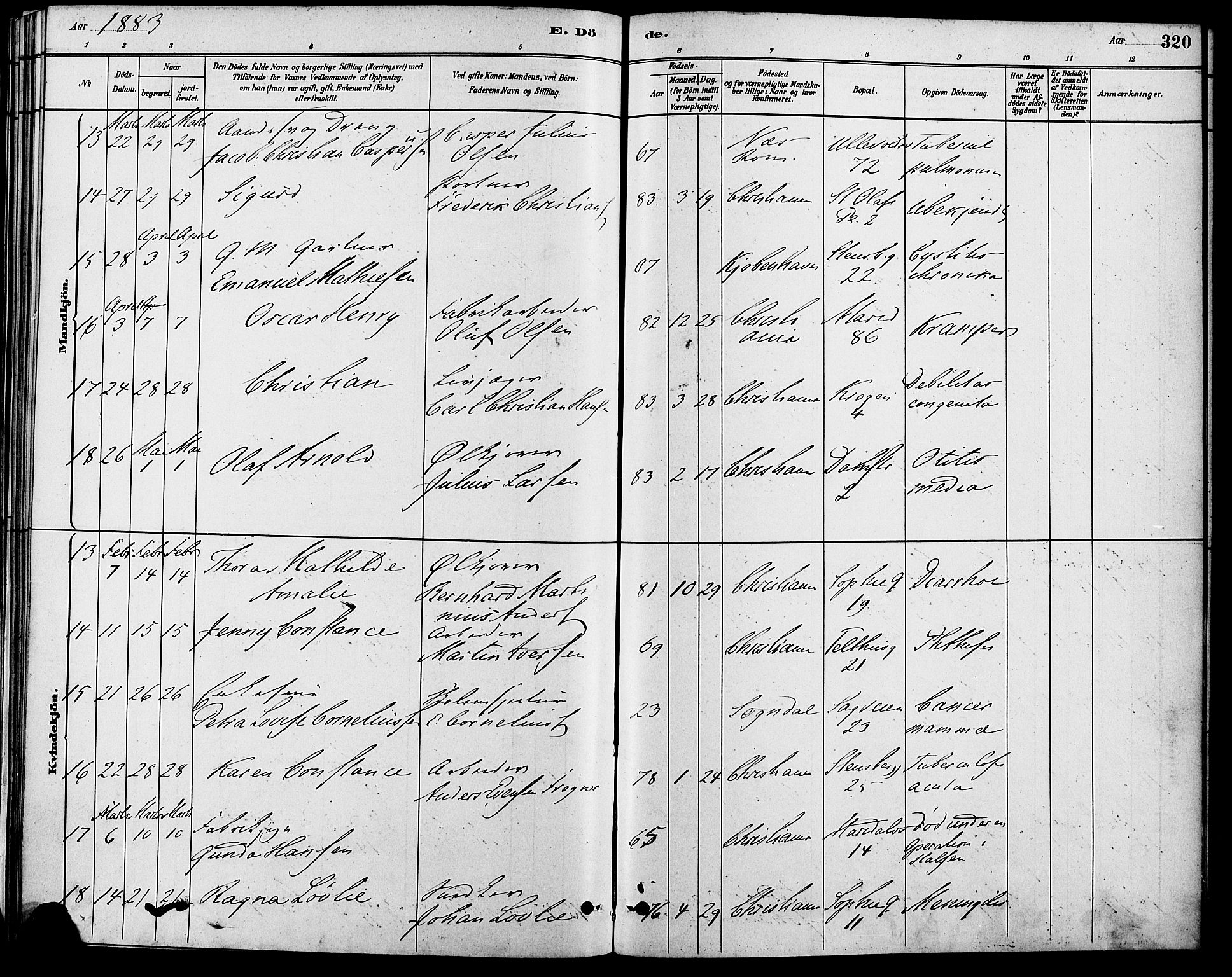 Gamle Aker prestekontor Kirkebøker, SAO/A-10617a/F/L0006: Parish register (official) no. 6, 1880-1887, p. 320