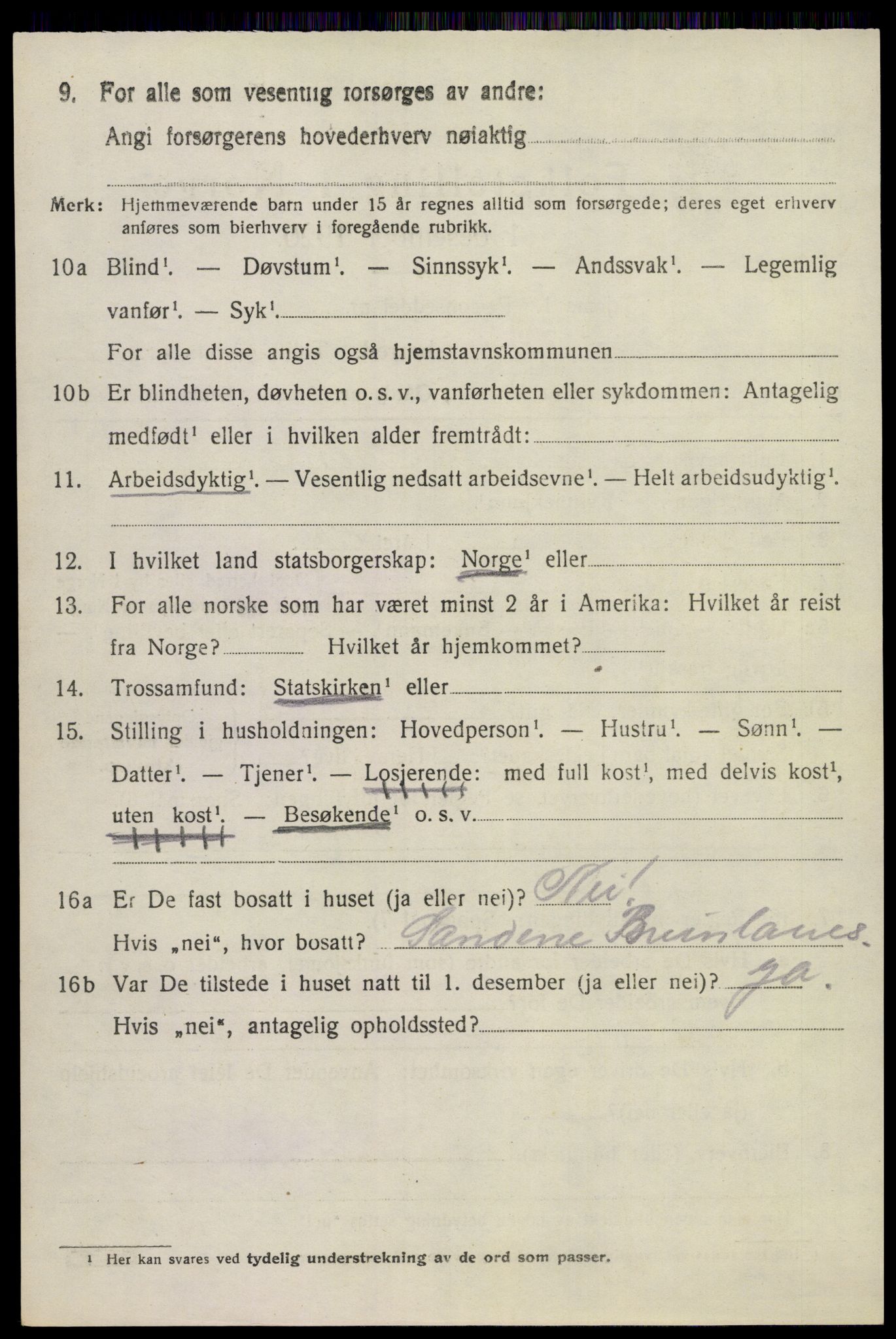 SAKO, 1920 census for Brunlanes, 1920, p. 6824