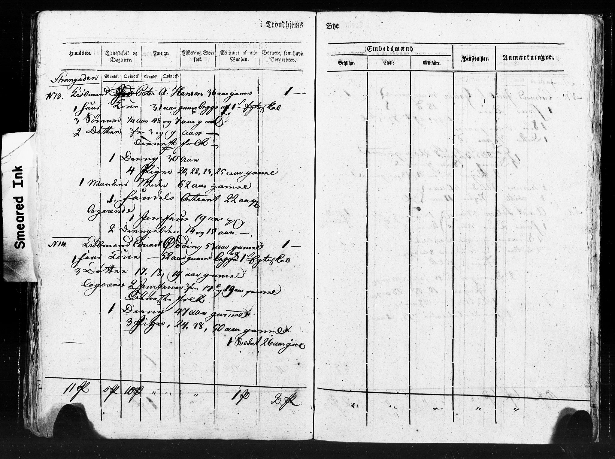 SAT, Census 1815 for Trondheim (transcript), 1815, p. 164