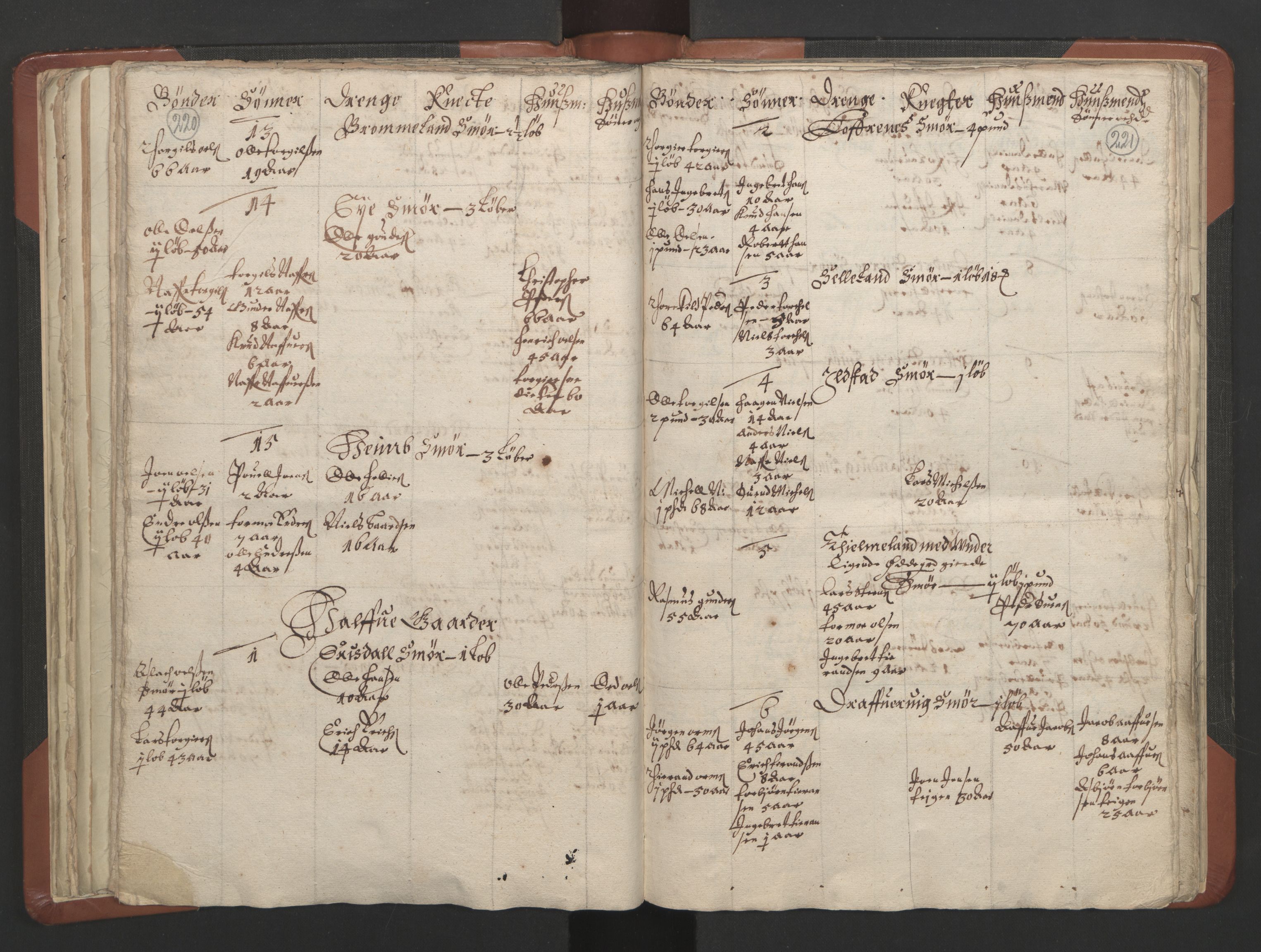 RA, Vicar's Census 1664-1666, no. 19: Ryfylke deanery, 1664-1666, p. 220-221