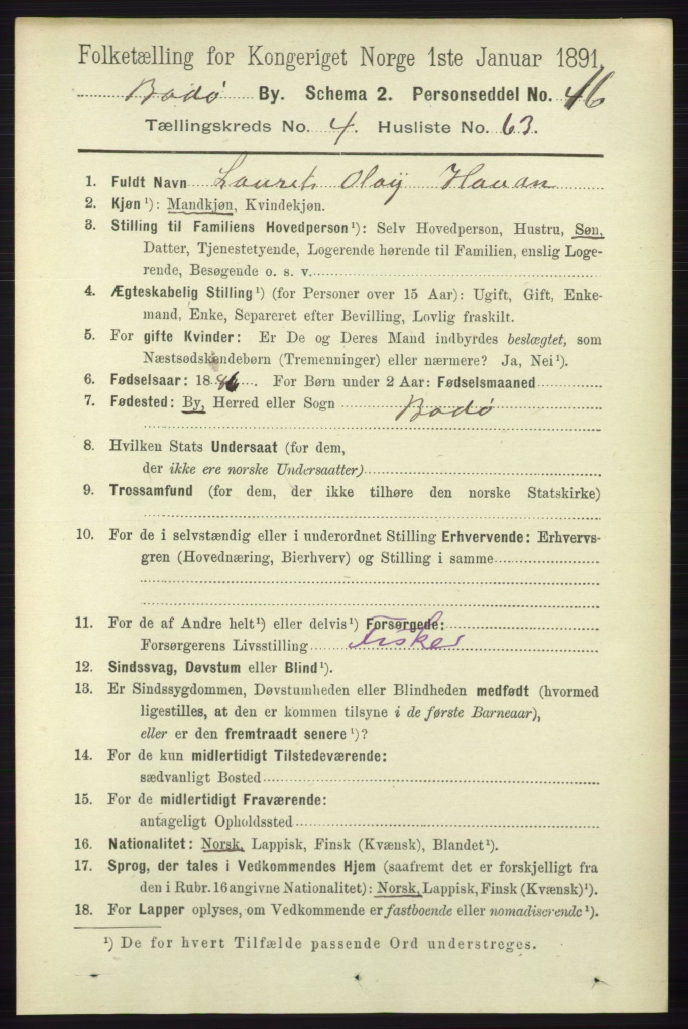 RA, 1891 census for 1804 Bodø, 1891, p. 3785