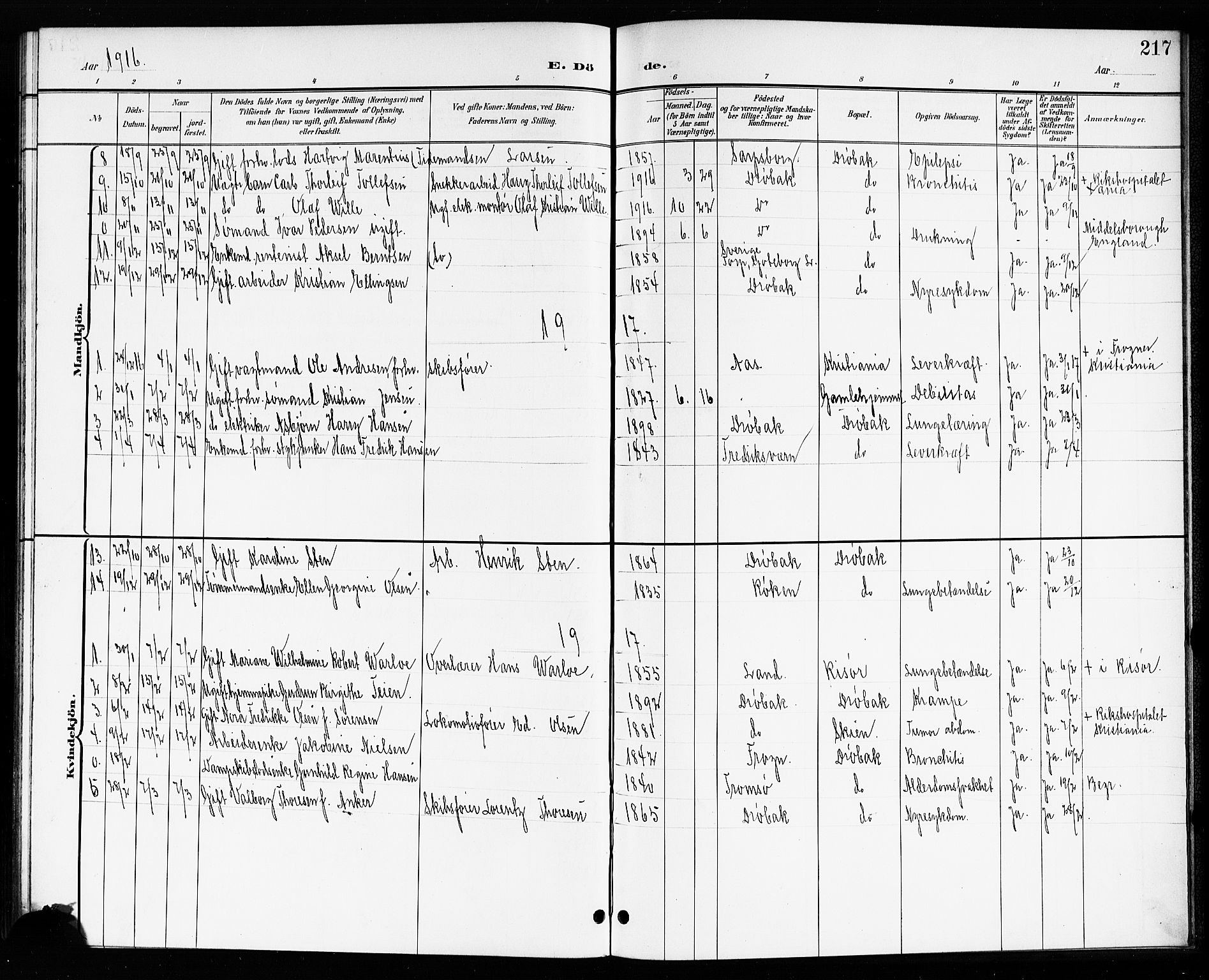 Drøbak prestekontor Kirkebøker, AV/SAO-A-10142a/G/Ga/L0001: Parish register (copy) no. I 1, 1897-1917, p. 217