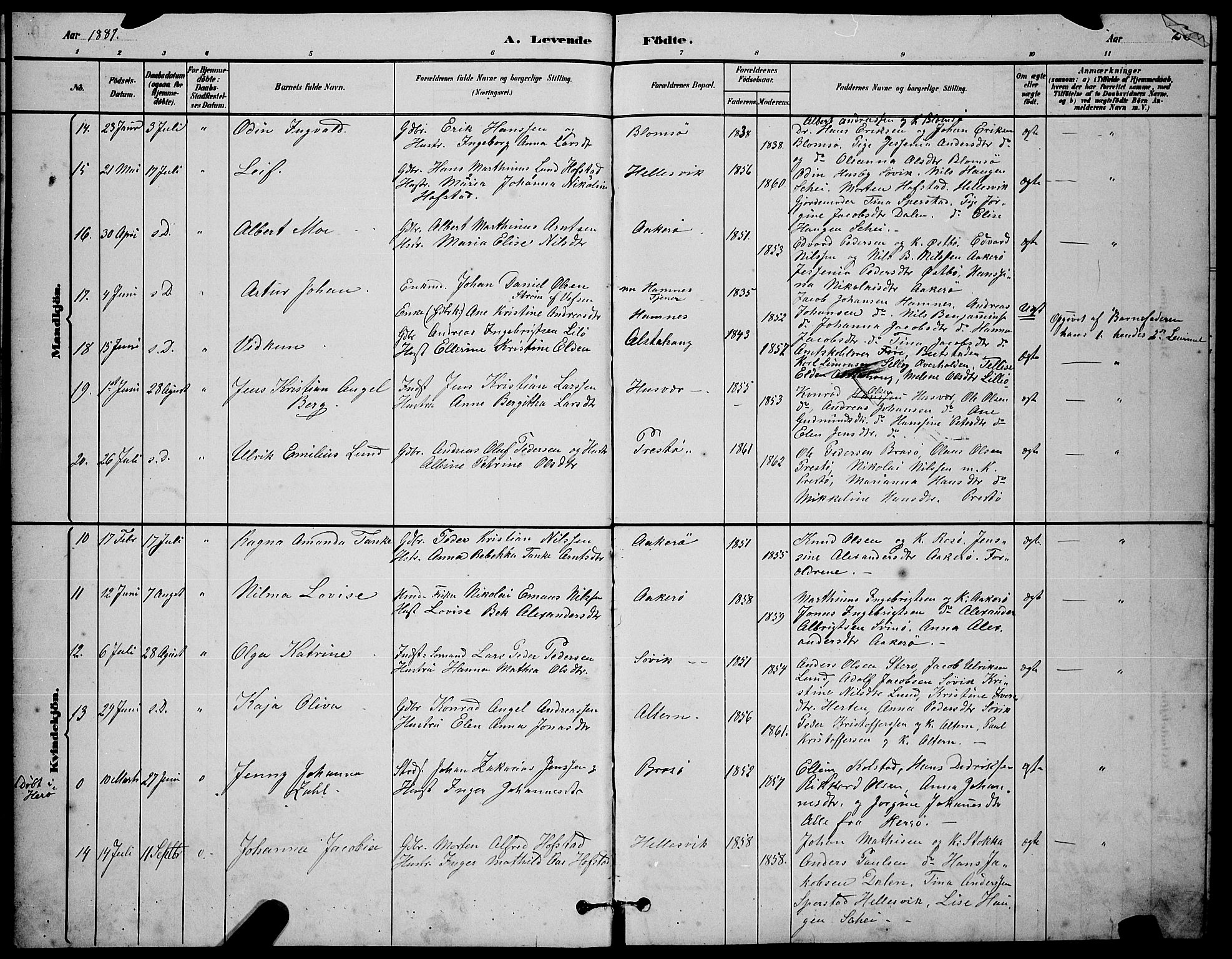 Ministerialprotokoller, klokkerbøker og fødselsregistre - Nordland, AV/SAT-A-1459/830/L0462: Parish register (copy) no. 830C04, 1882-1895, p. 20