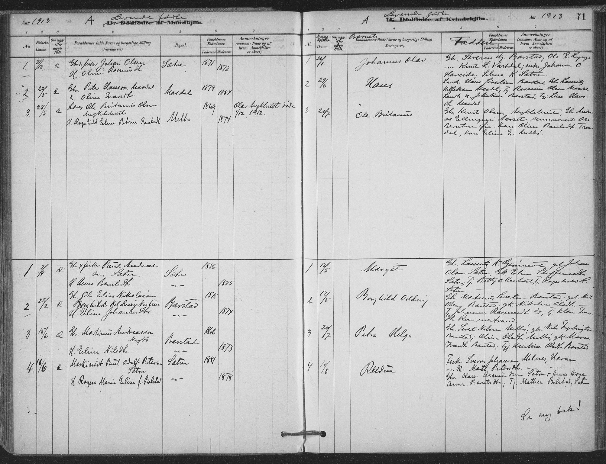 Ministerialprotokoller, klokkerbøker og fødselsregistre - Møre og Romsdal, AV/SAT-A-1454/514/L0199: Parish register (official) no. 514A01, 1878-1912, p. 71