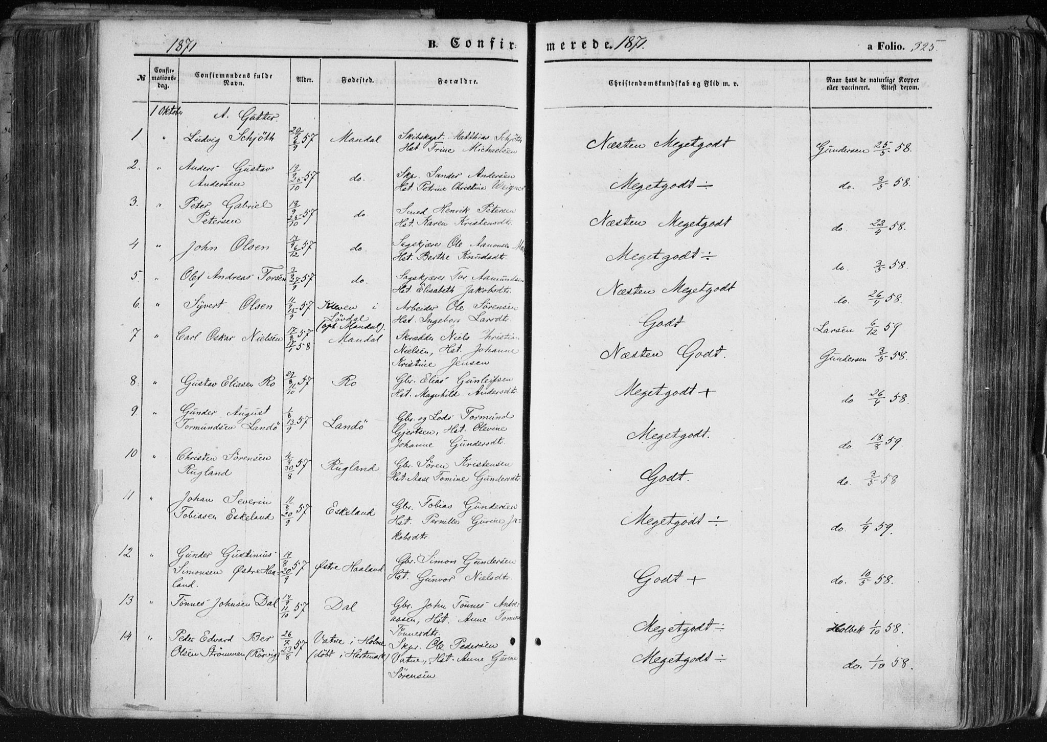 Mandal sokneprestkontor, AV/SAK-1111-0030/F/Fa/Faa/L0014: Parish register (official) no. A 14, 1859-1872, p. 325