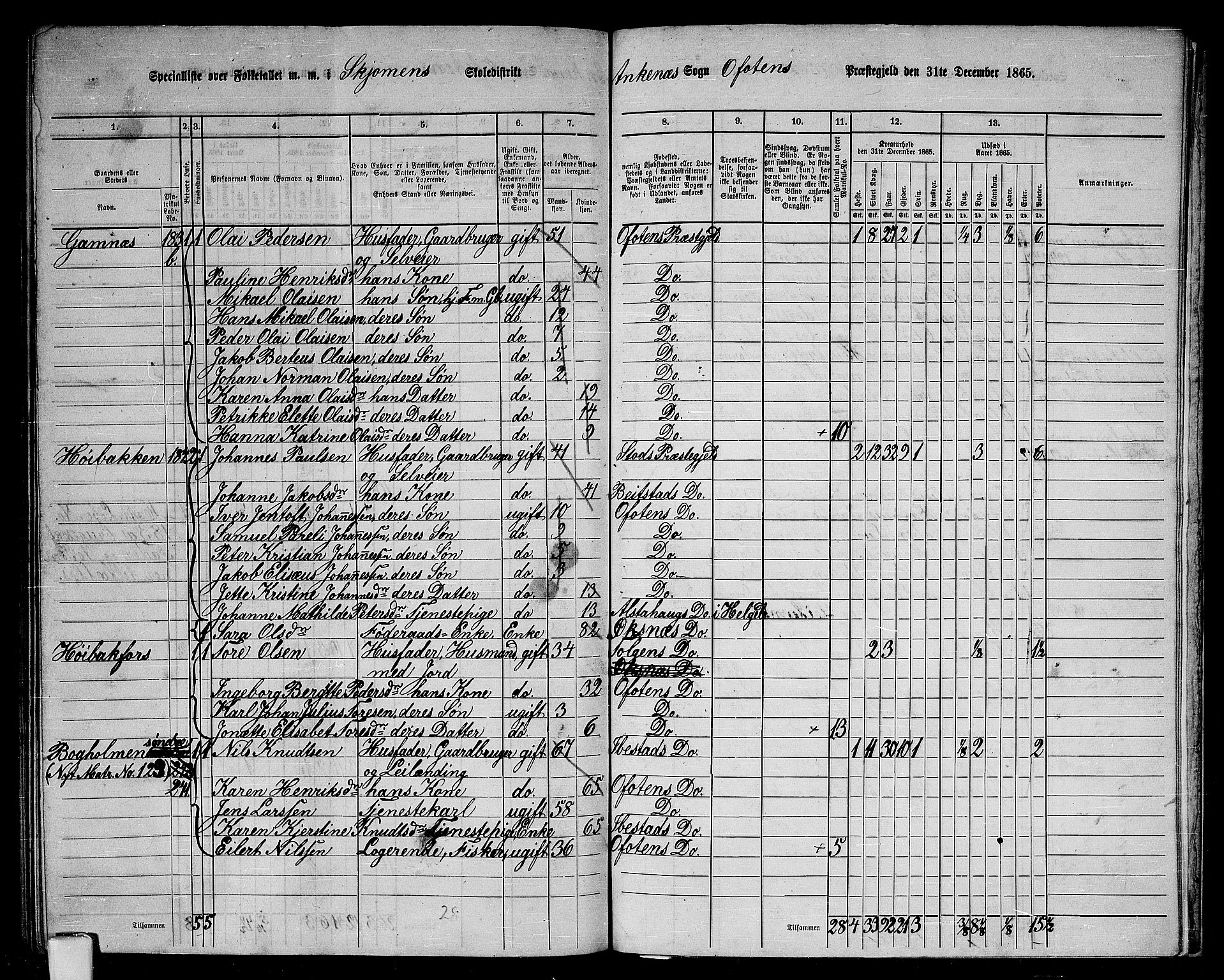 RA, 1865 census for Ofoten, 1865, p. 161