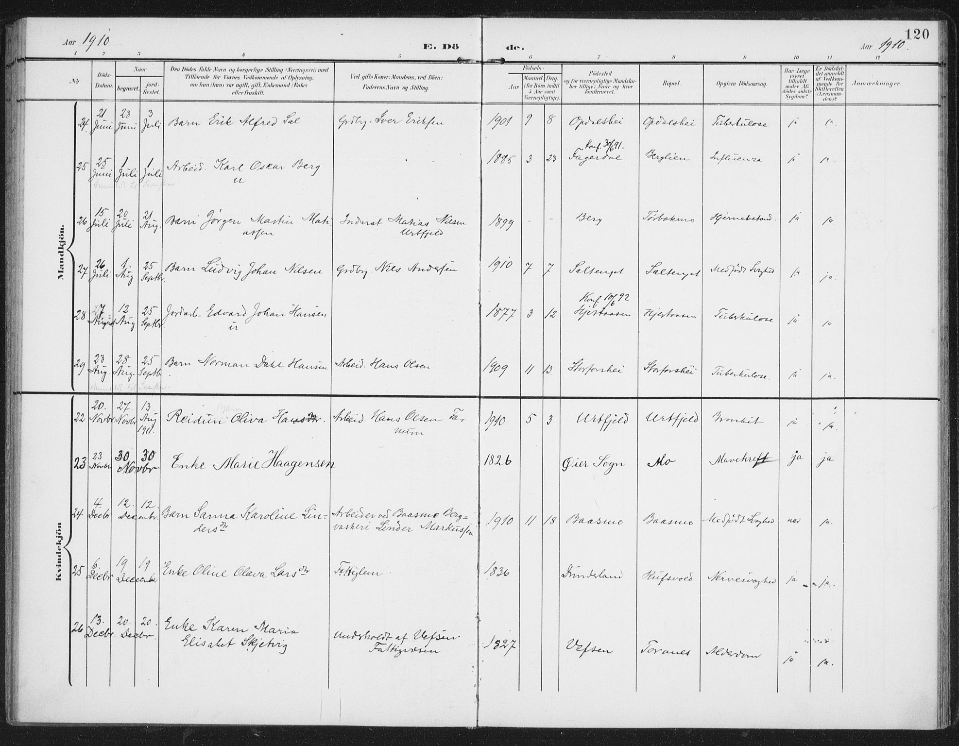 Ministerialprotokoller, klokkerbøker og fødselsregistre - Nordland, AV/SAT-A-1459/827/L0403: Parish register (official) no. 827A15, 1903-1912, p. 120