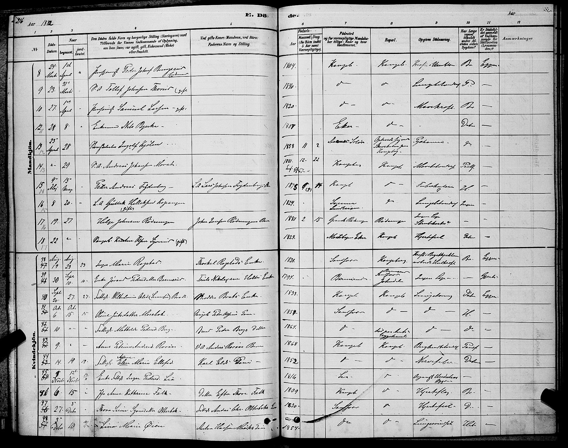 Kongsberg kirkebøker, SAKO/A-22/G/Ga/L0005: Parish register (copy) no. 5, 1878-1889, p. 216