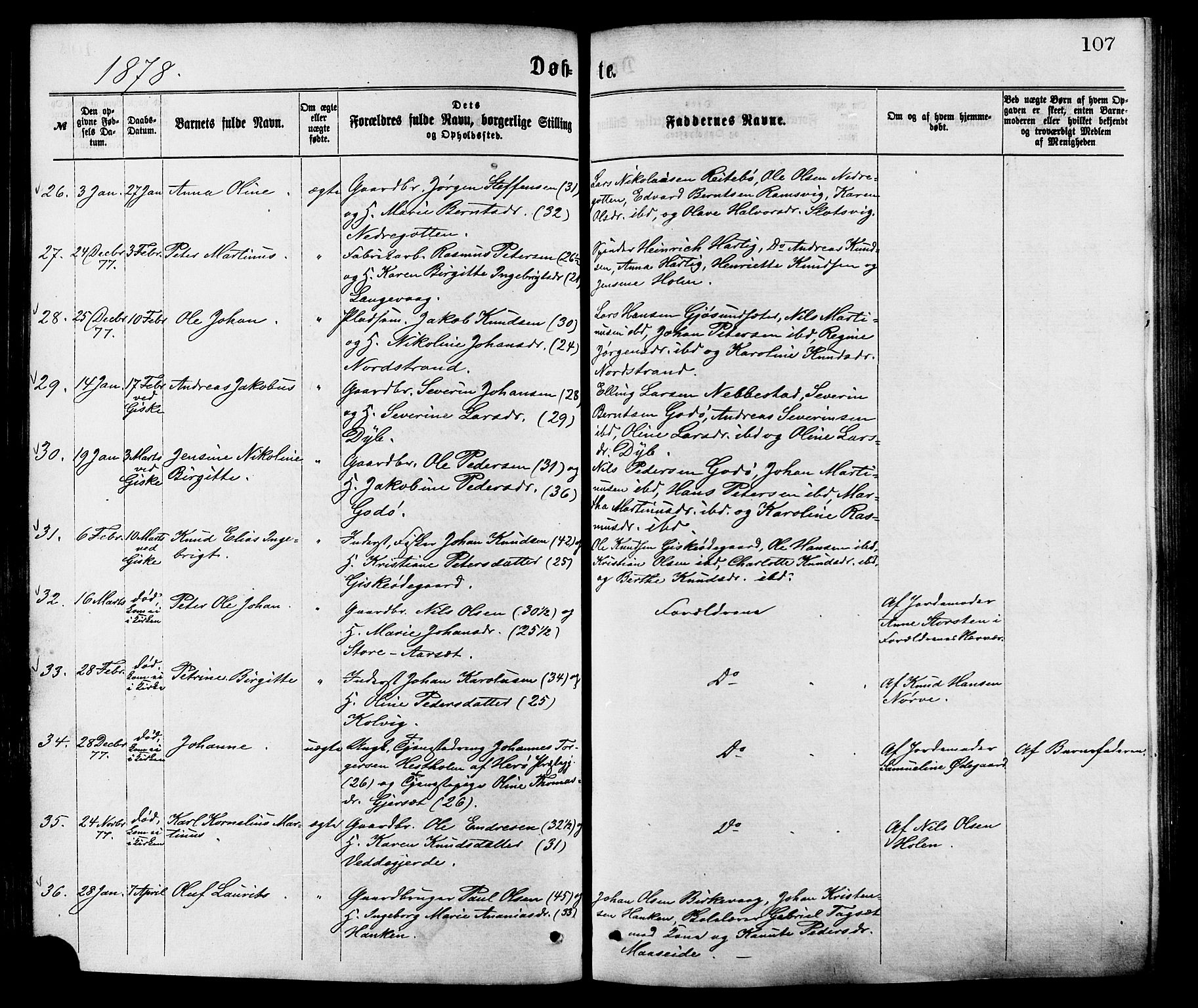 Ministerialprotokoller, klokkerbøker og fødselsregistre - Møre og Romsdal, AV/SAT-A-1454/528/L0400: Parish register (official) no. 528A11, 1871-1879, p. 107