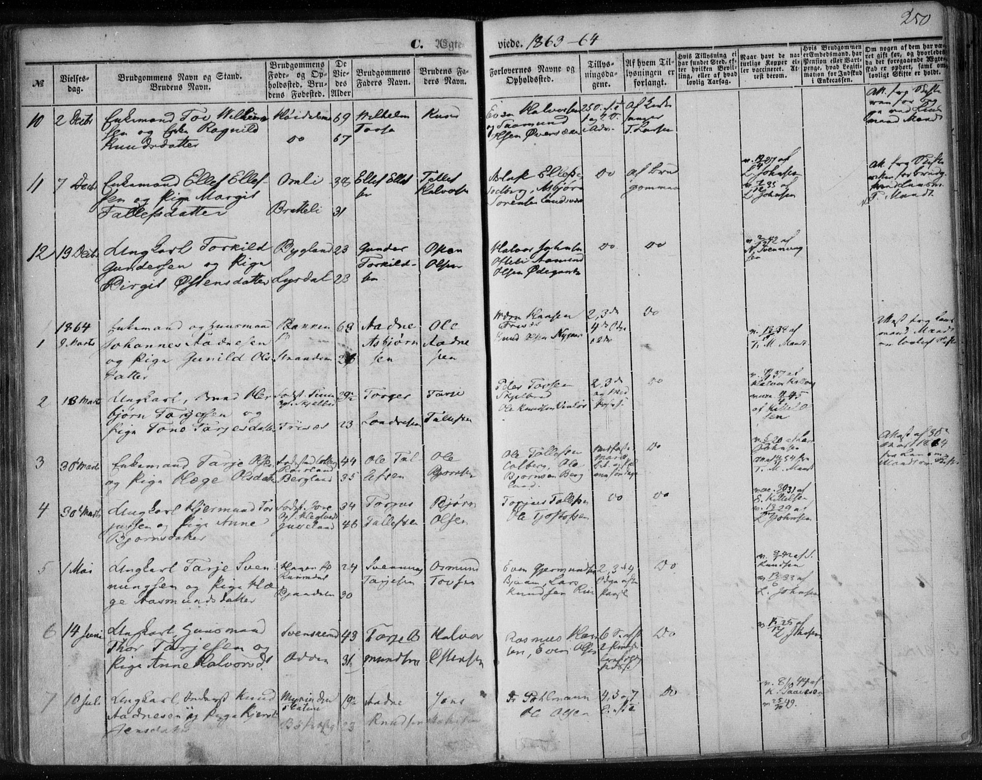 Lårdal kirkebøker, SAKO/A-284/F/Fa/L0006: Parish register (official) no. I 6, 1861-1886, p. 250