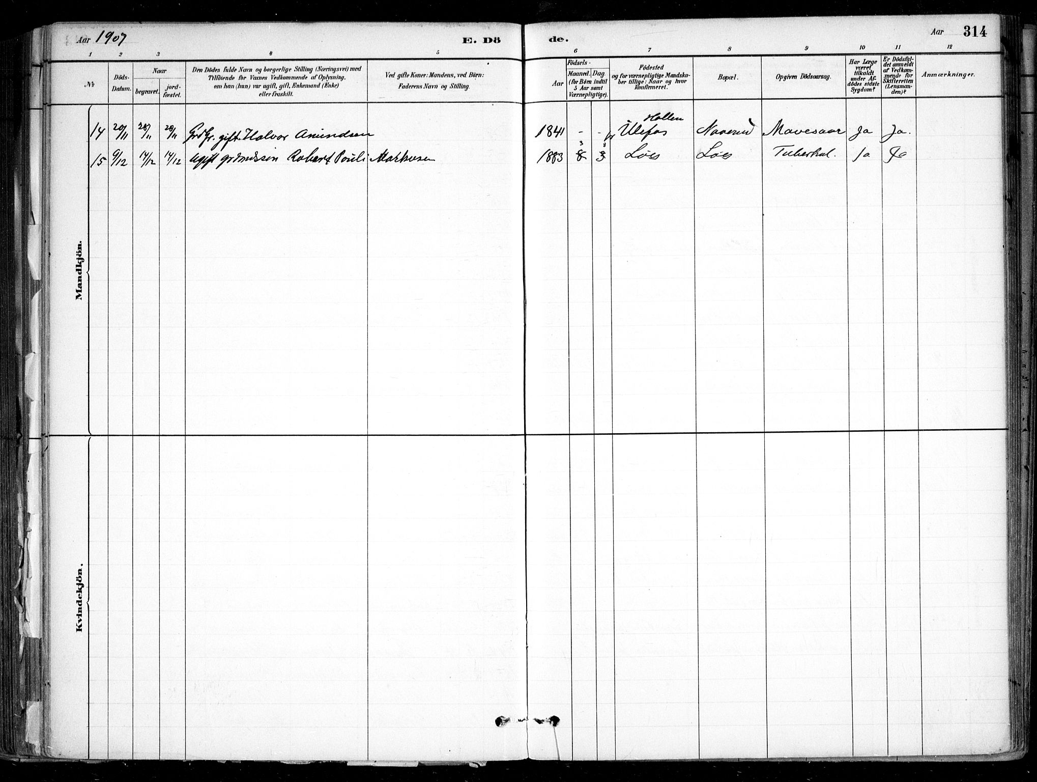 Nesodden prestekontor Kirkebøker, AV/SAO-A-10013/F/Fa/L0009: Parish register (official) no. I 9, 1880-1915, p. 314