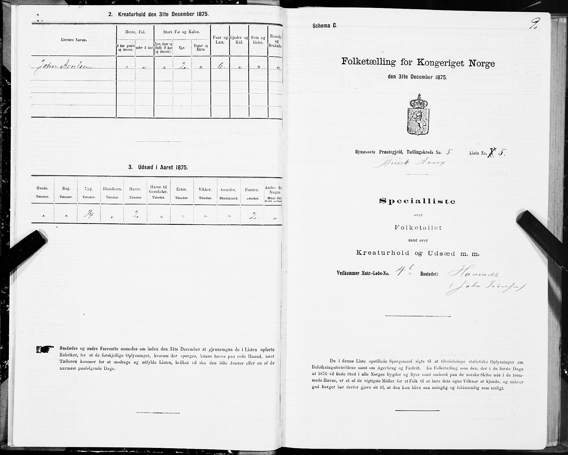 SAT, 1875 census for 1655P Byneset, 1875, p. 3009