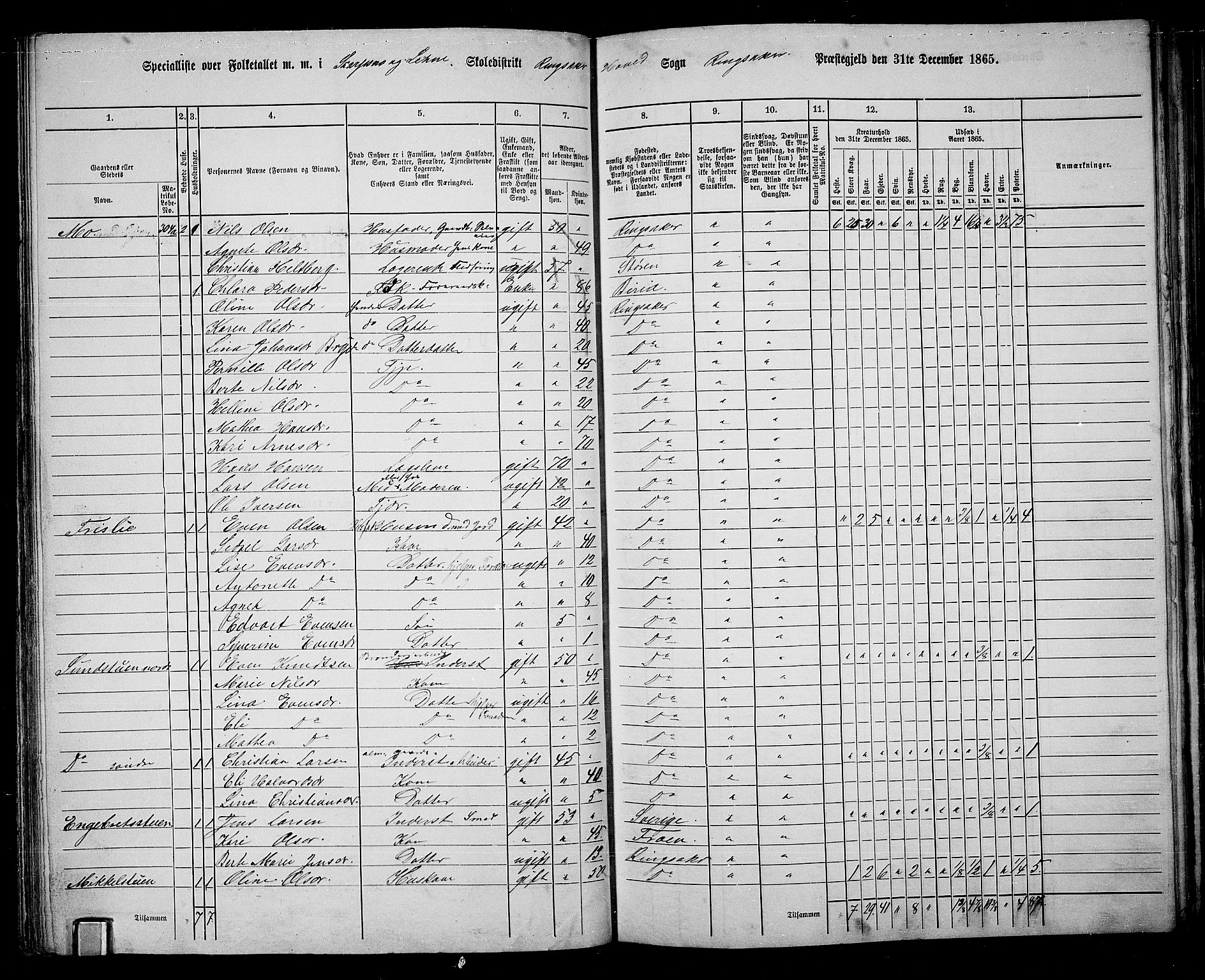 RA, 1865 census for Ringsaker, 1865, p. 114