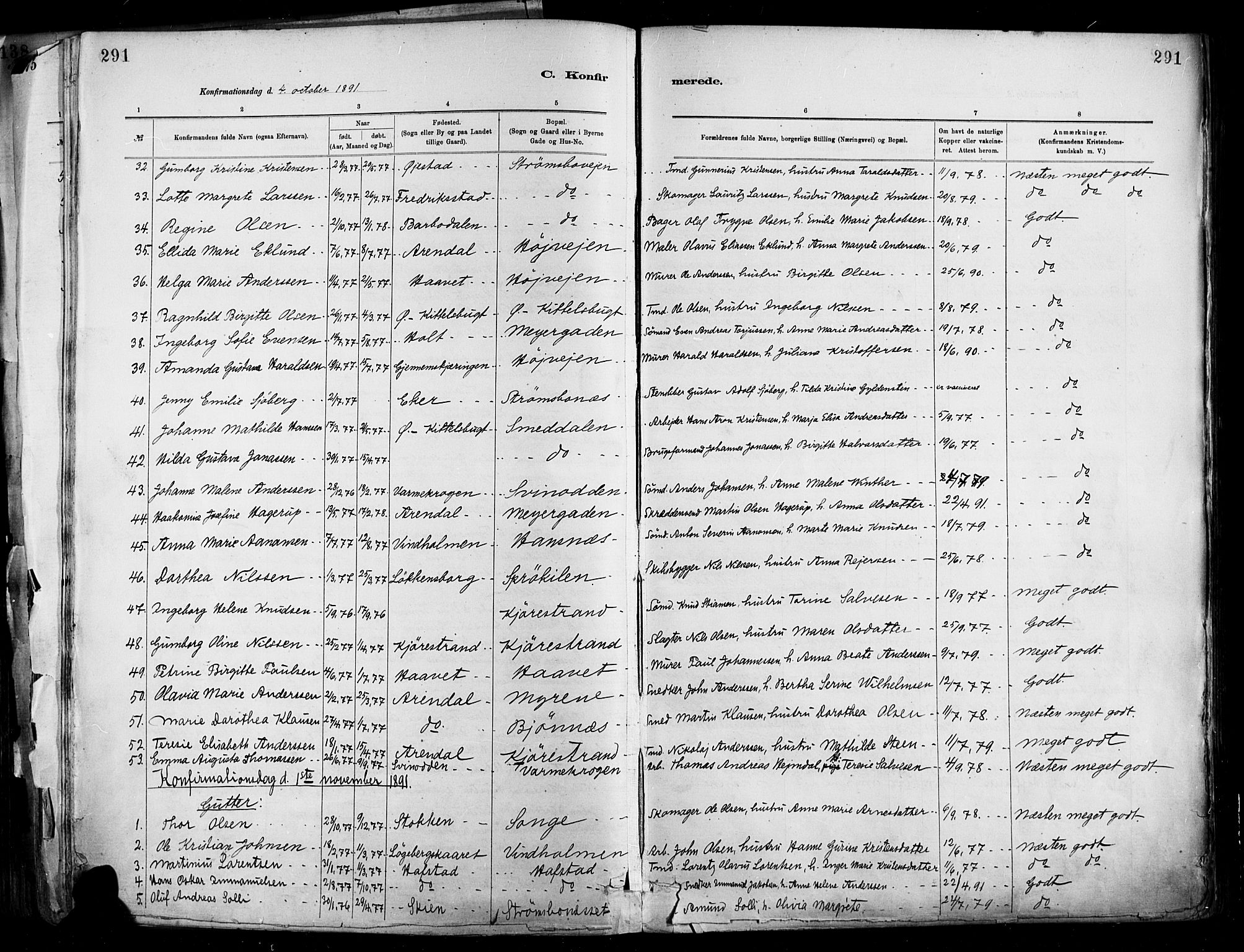 Barbu sokneprestkontor, SAK/1111-0003/F/Fa/L0002: Parish register (official) no. A 2, 1883-1898, p. 291